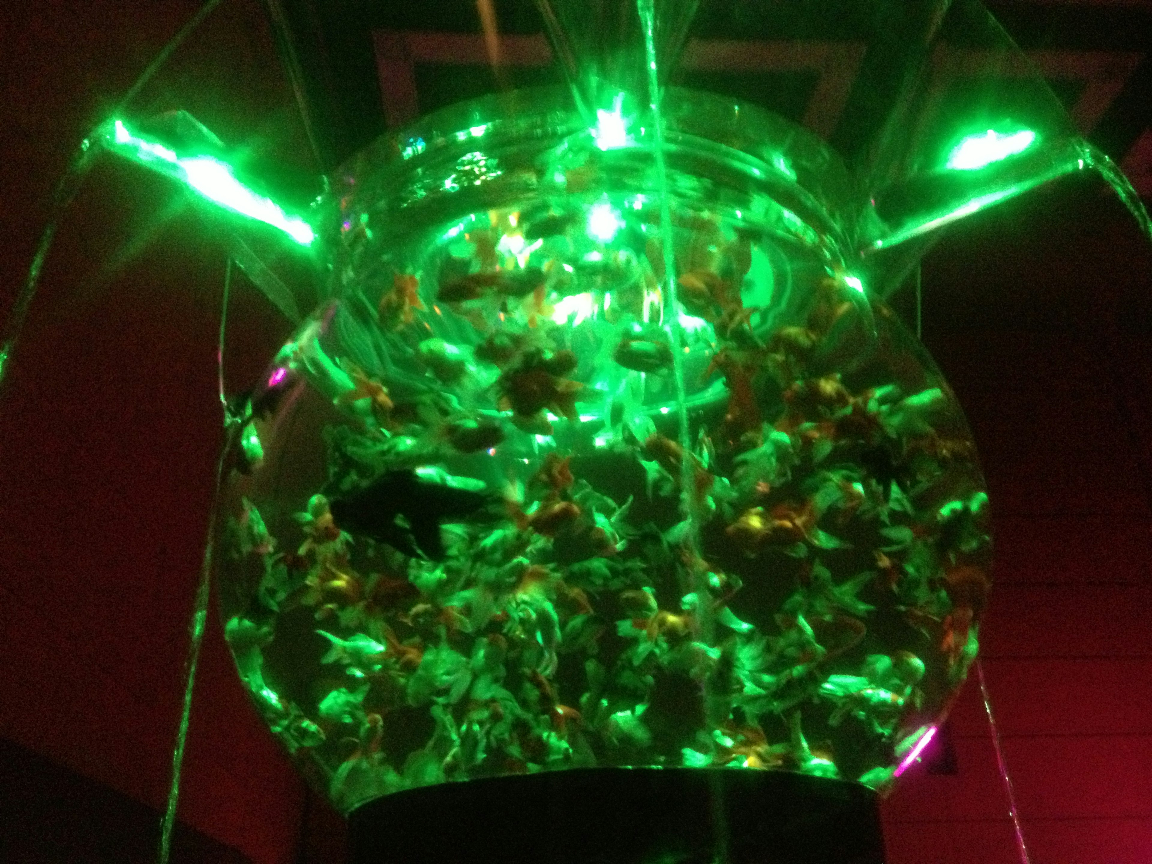 A glowing green fishbowl filled with colorful fish