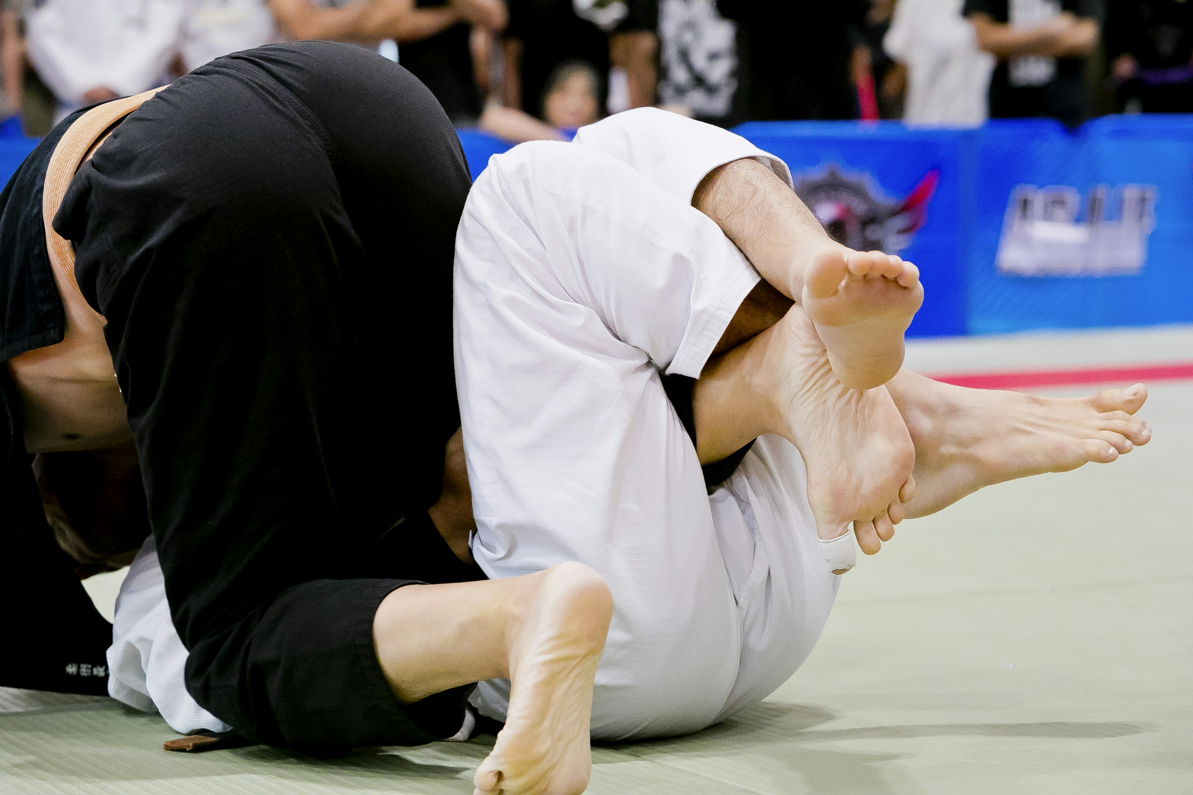 Cảnh vận động viên vật lộn trong một trận đấu judo