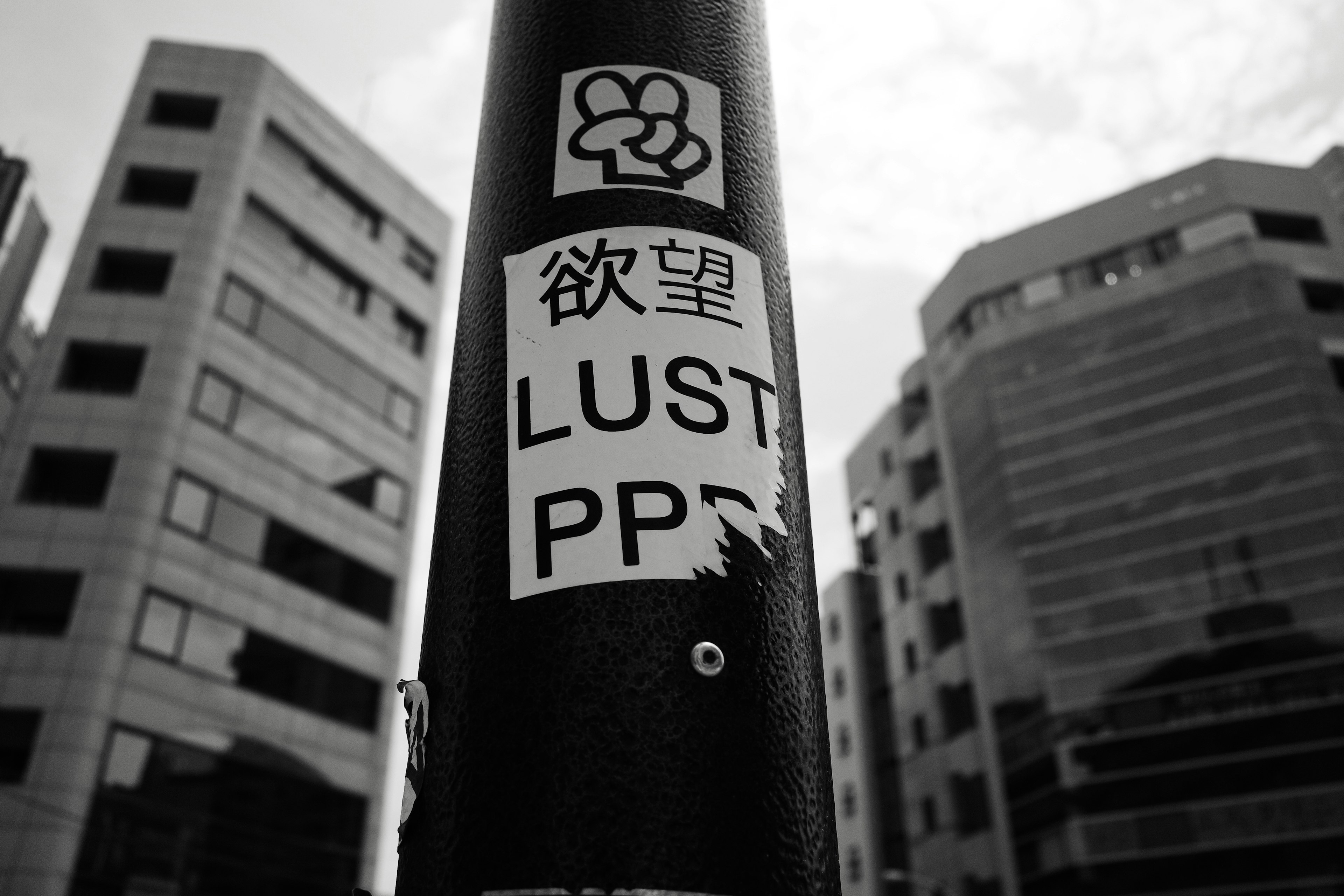 Label on a black pole featuring the words desire and LUST with city buildings in the background