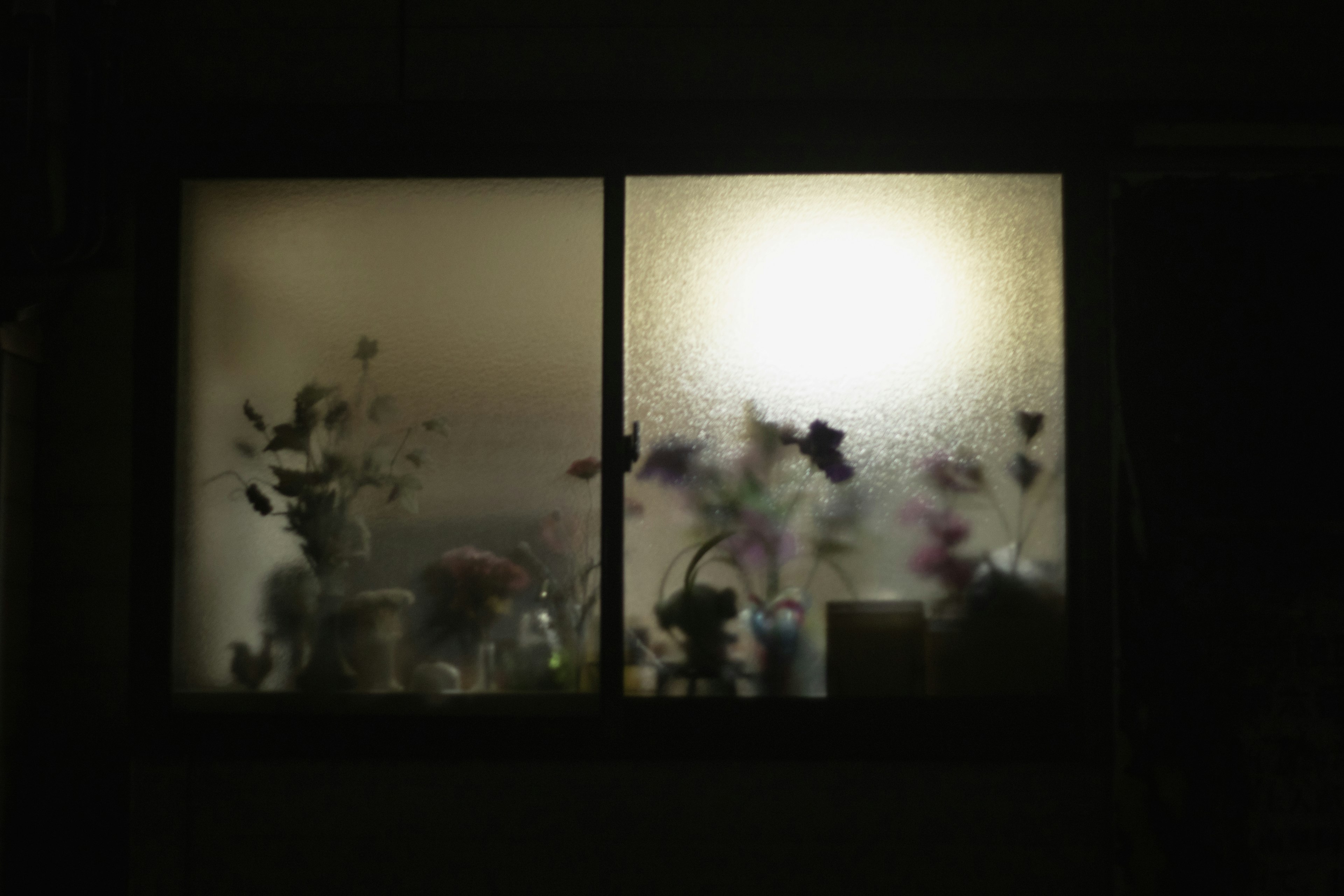 Ventana empañada con siluetas de flores y luz suave