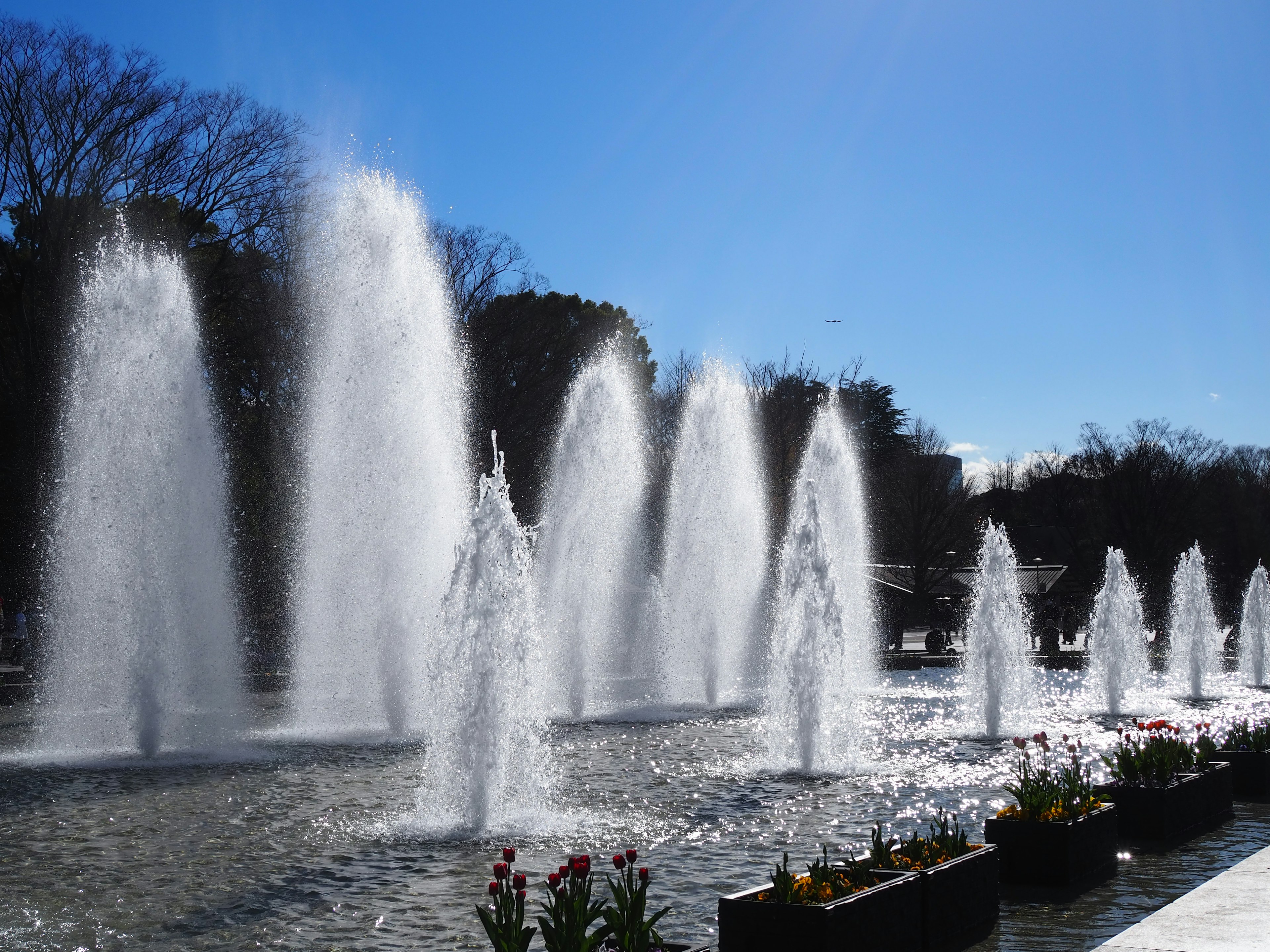 Fountain sprays water under a clear blue sky with flowers in the foreground