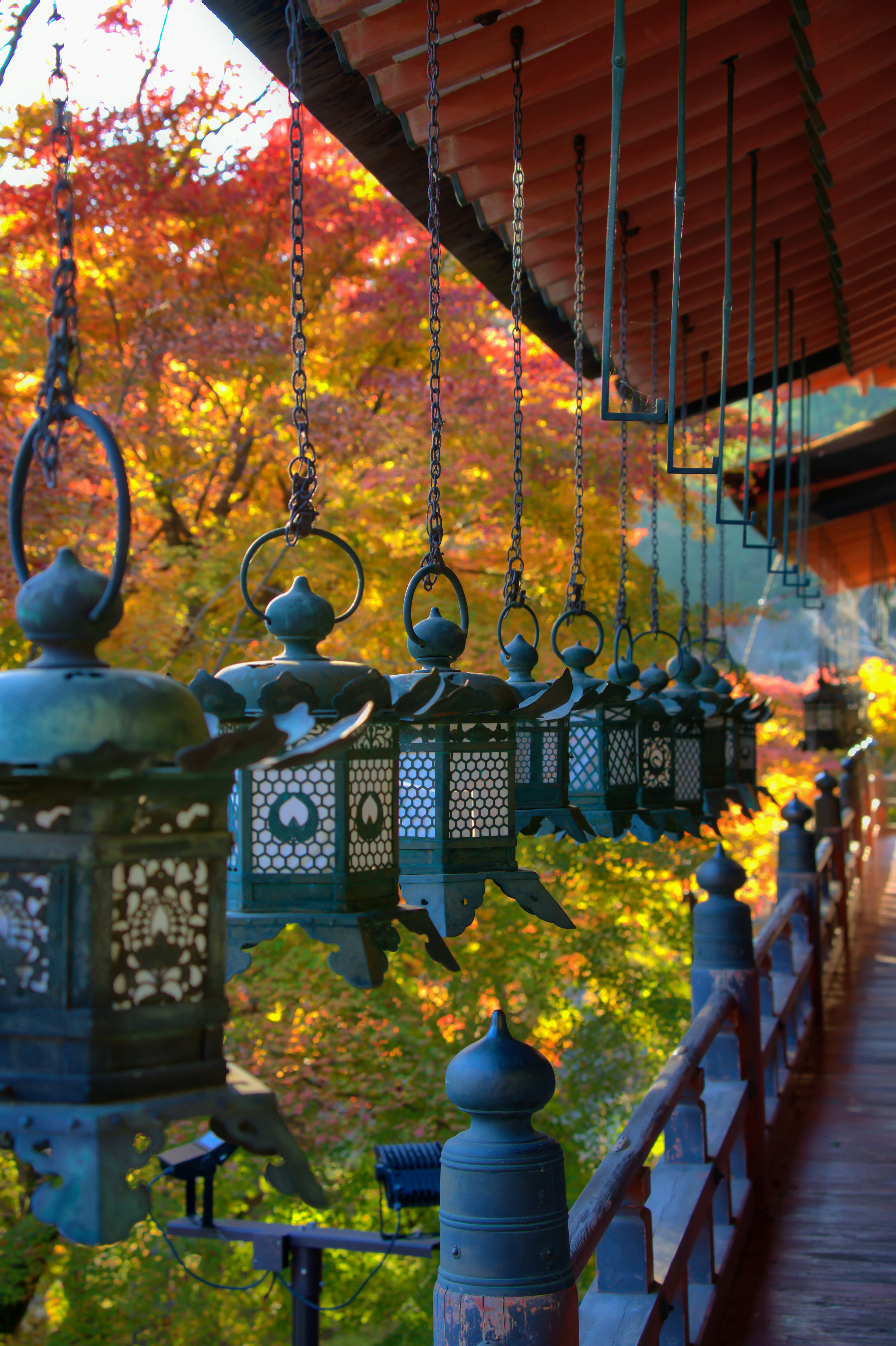 美しい秋の紅葉を背景にした伝統的な日本のランタンが吊るされている風景