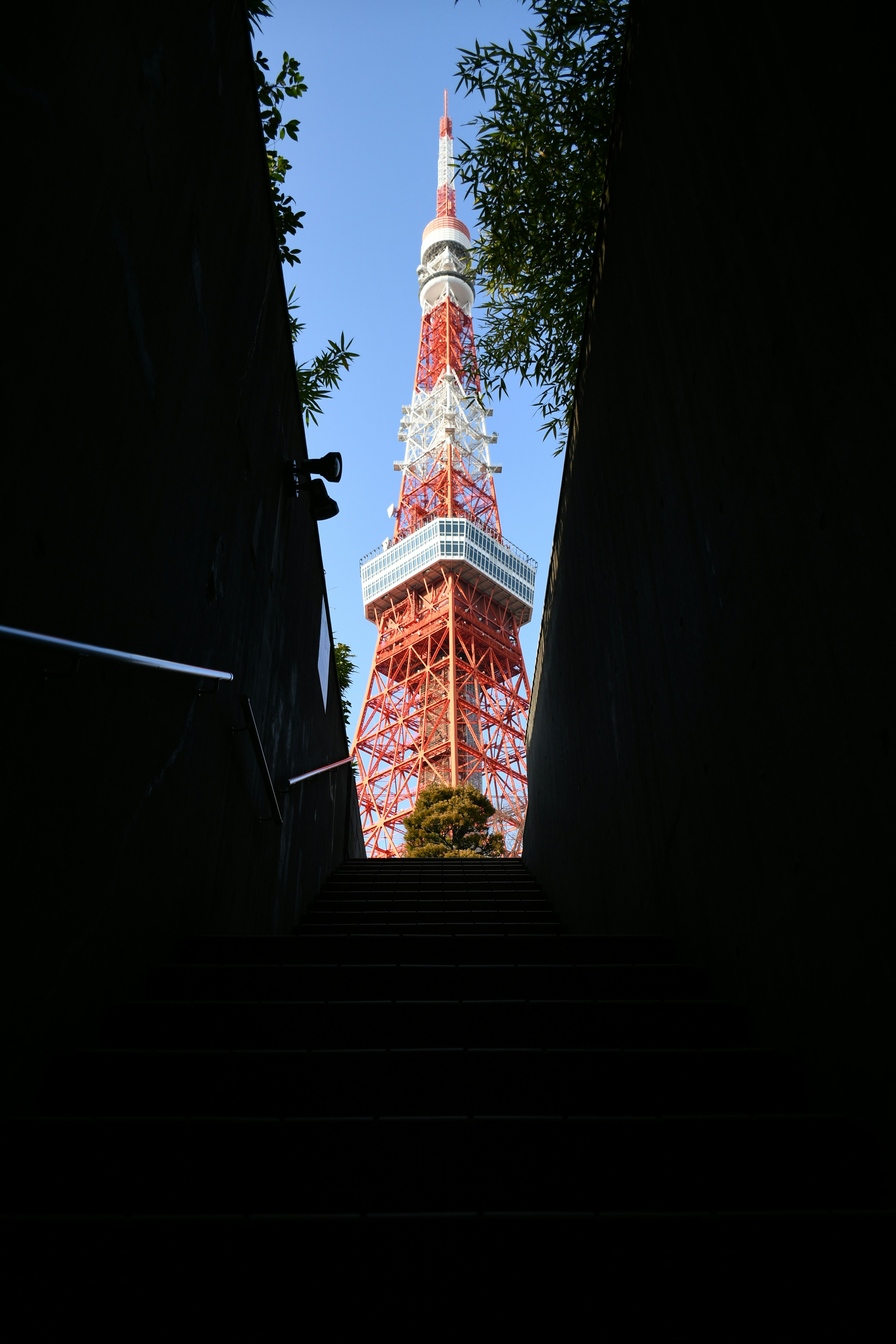 東京タワーを見上げる階段の風景