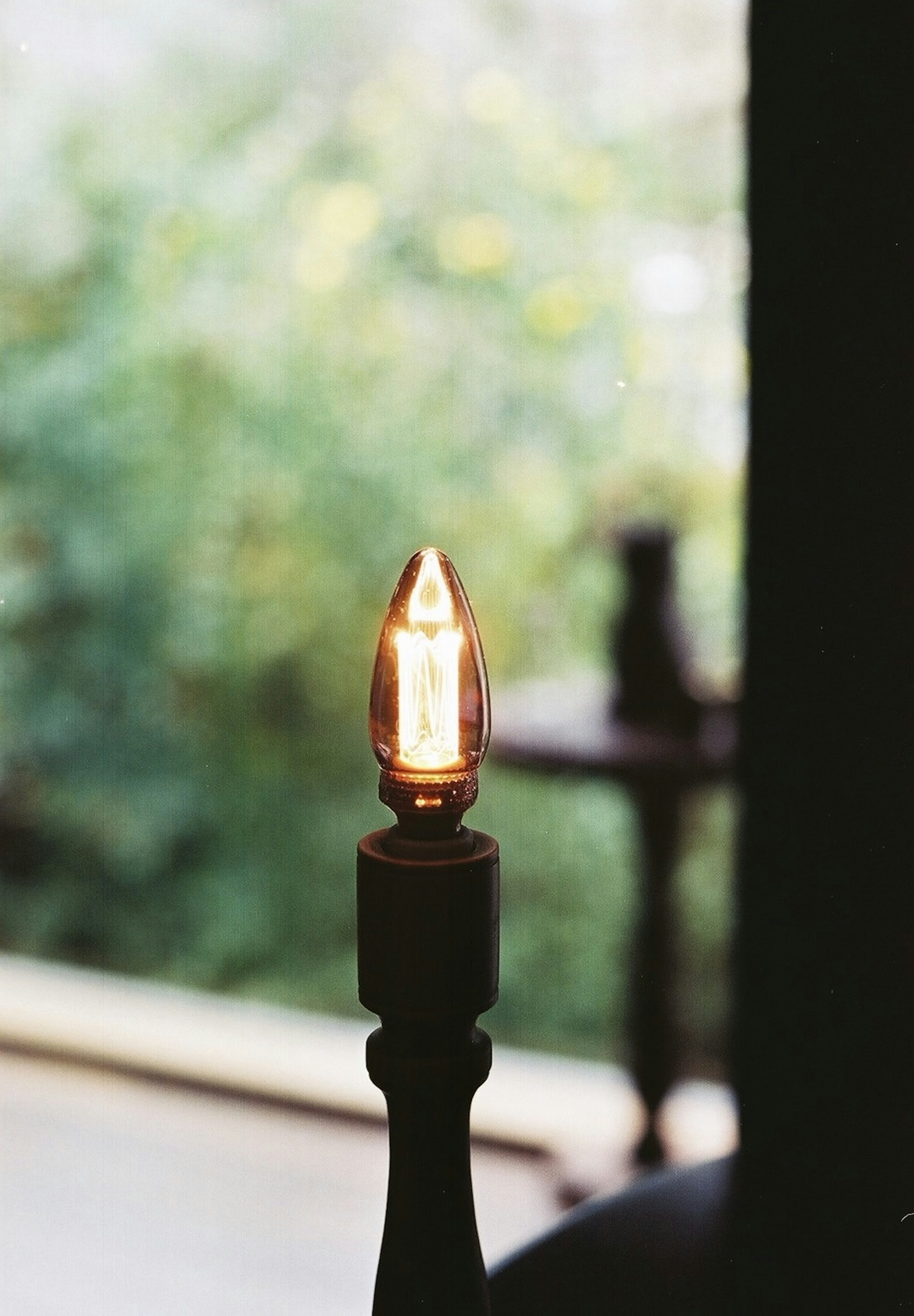 A lit candle holder with a bulb and blurred green plants in the background