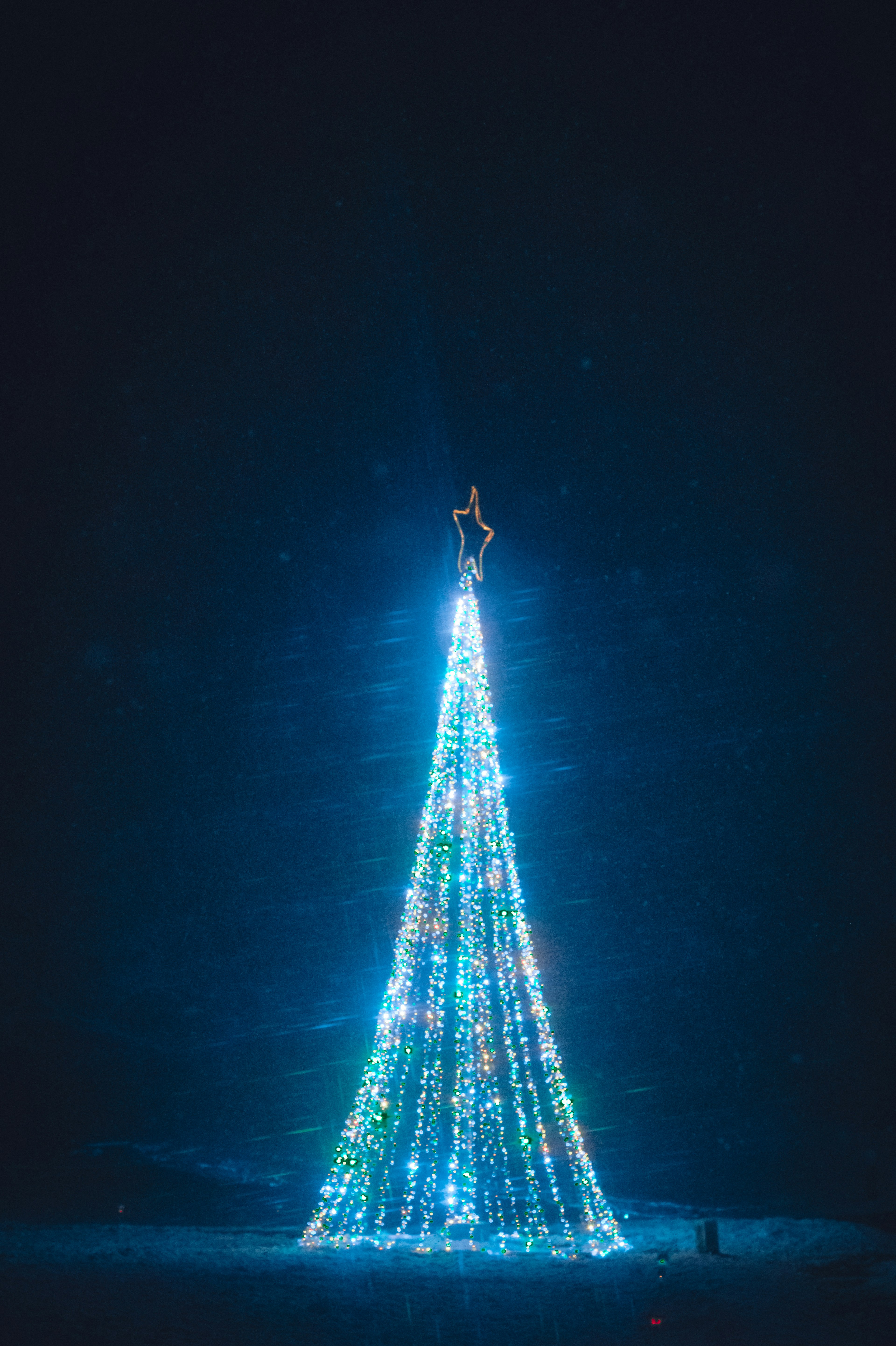 A Christmas tree adorned with blue lights topped by a shining star