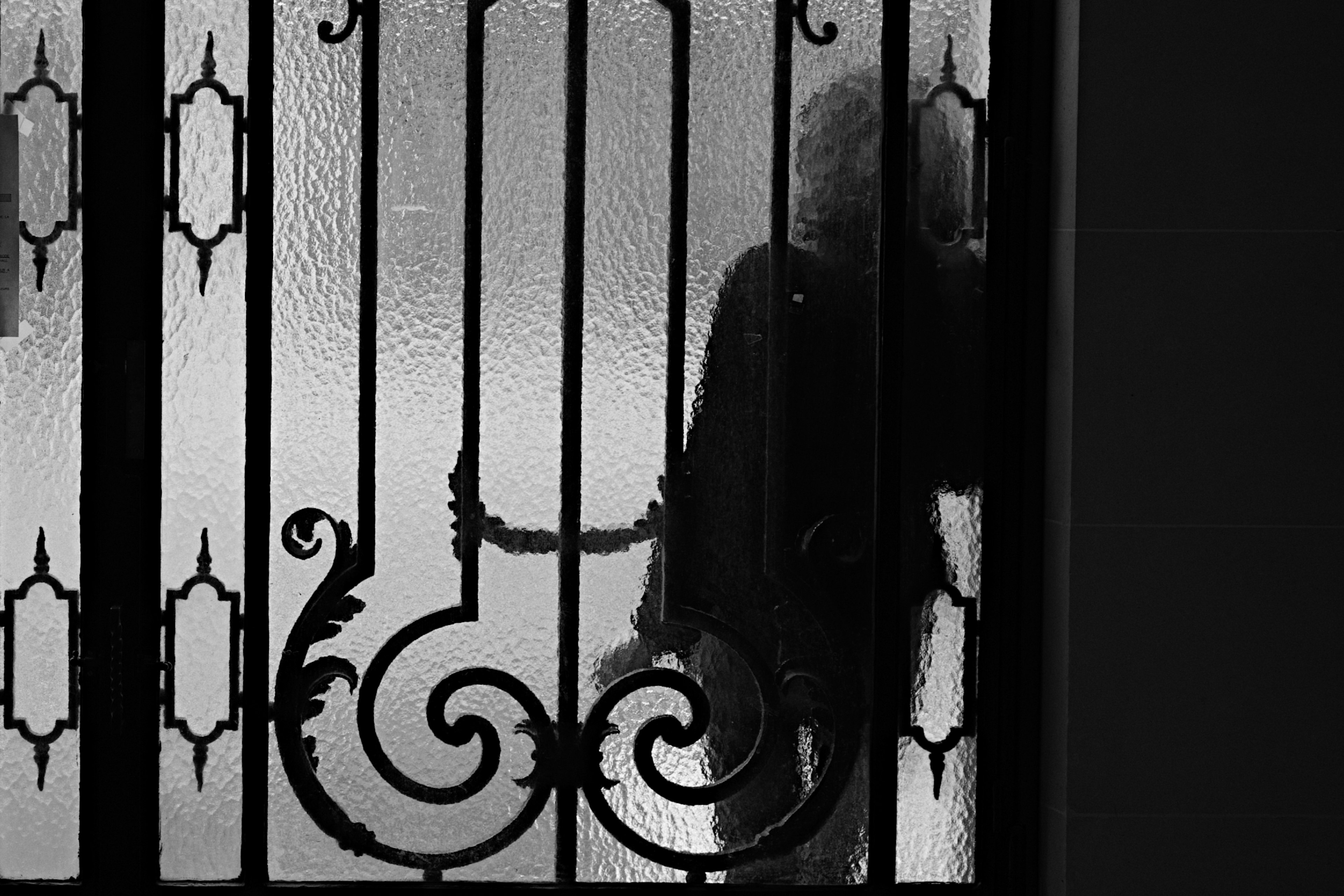 Silhouette of a person seen through misted glass and decorative wrought iron bars