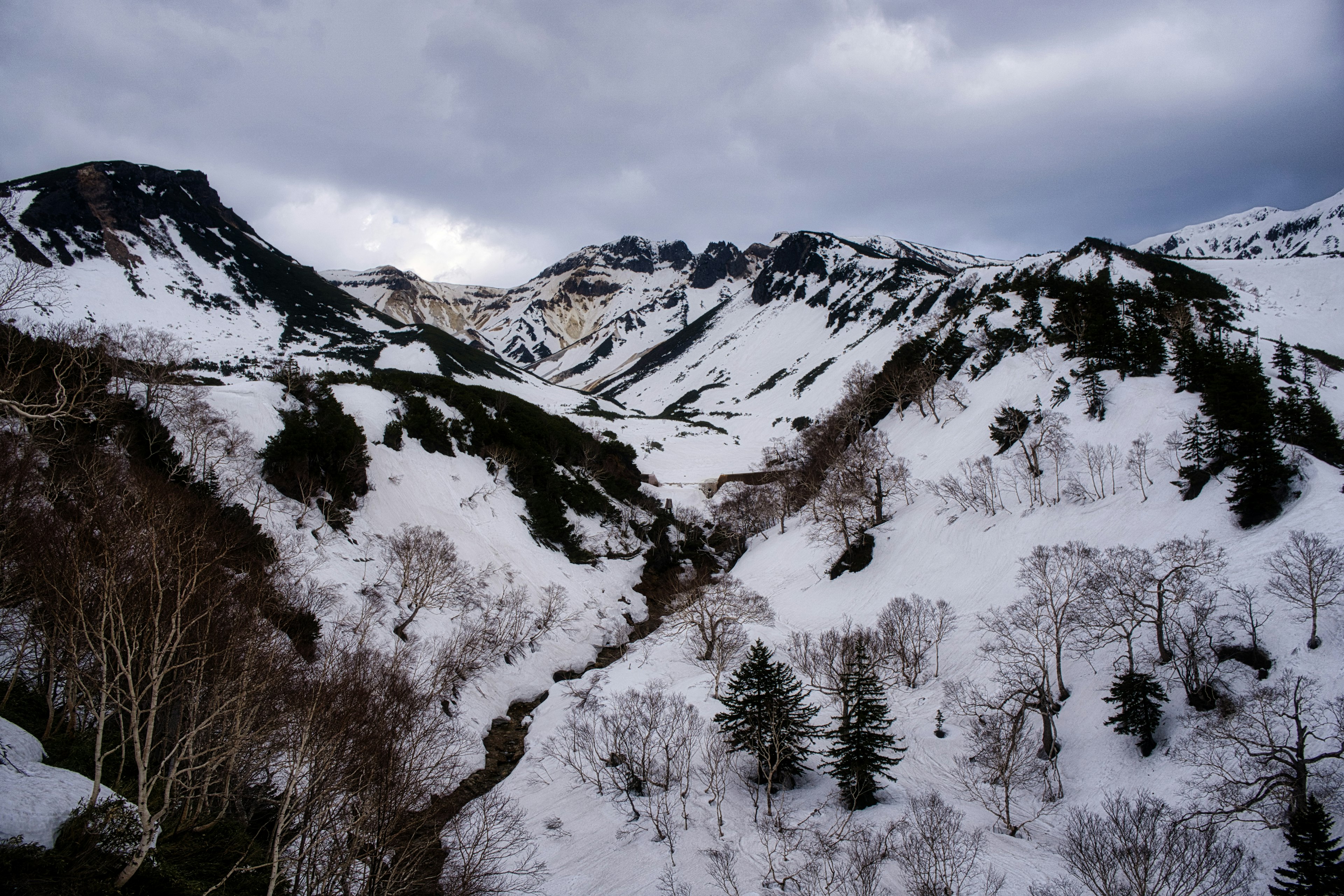 雪に覆われた山々と谷の景色