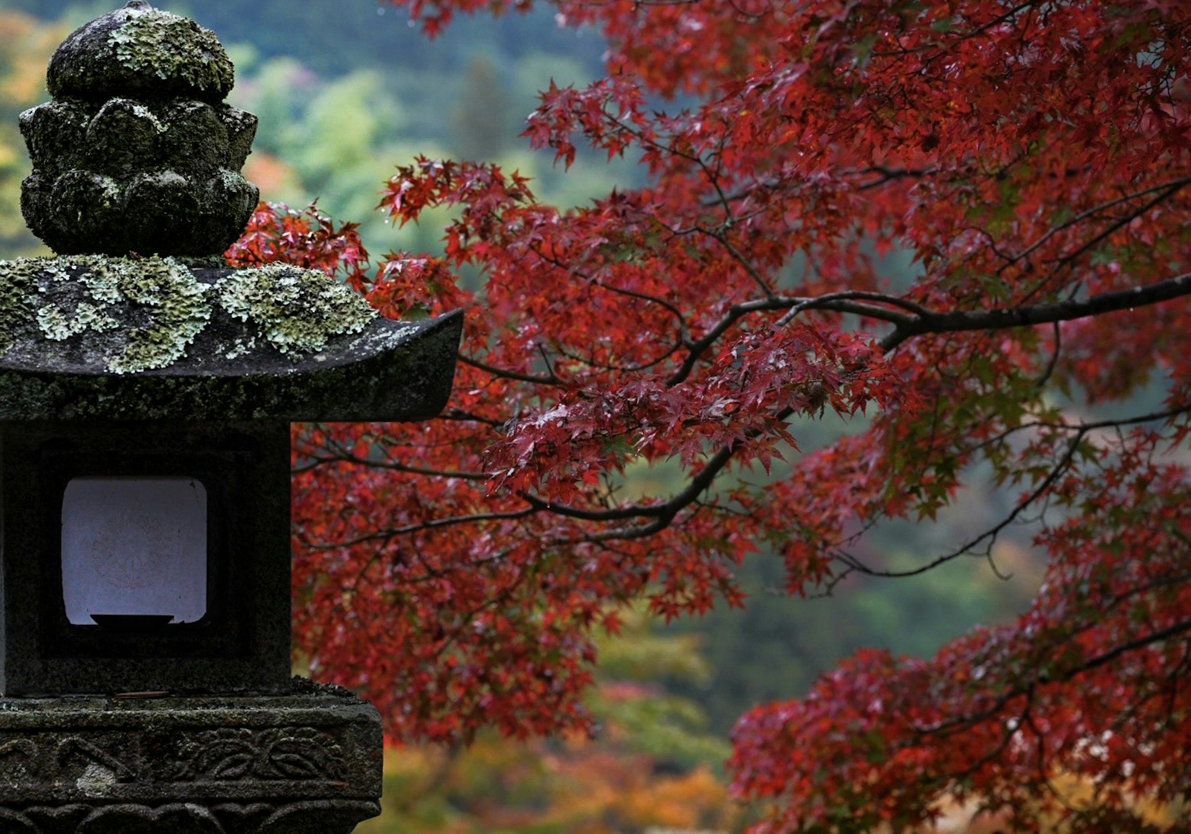 Close-up of a stone lantern with autumn leaves in the background