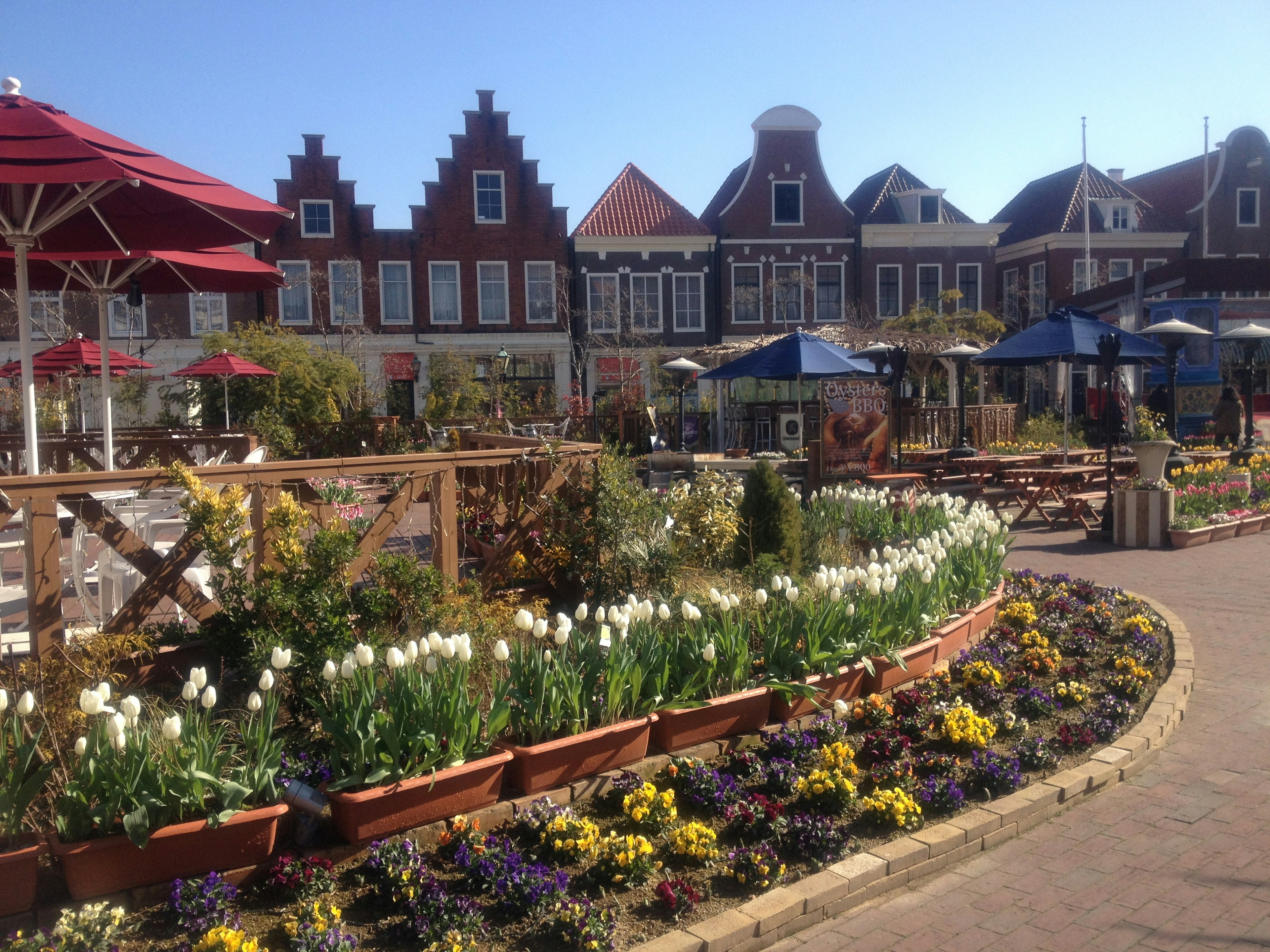 Colorful flower garden with traditional buildings in the background