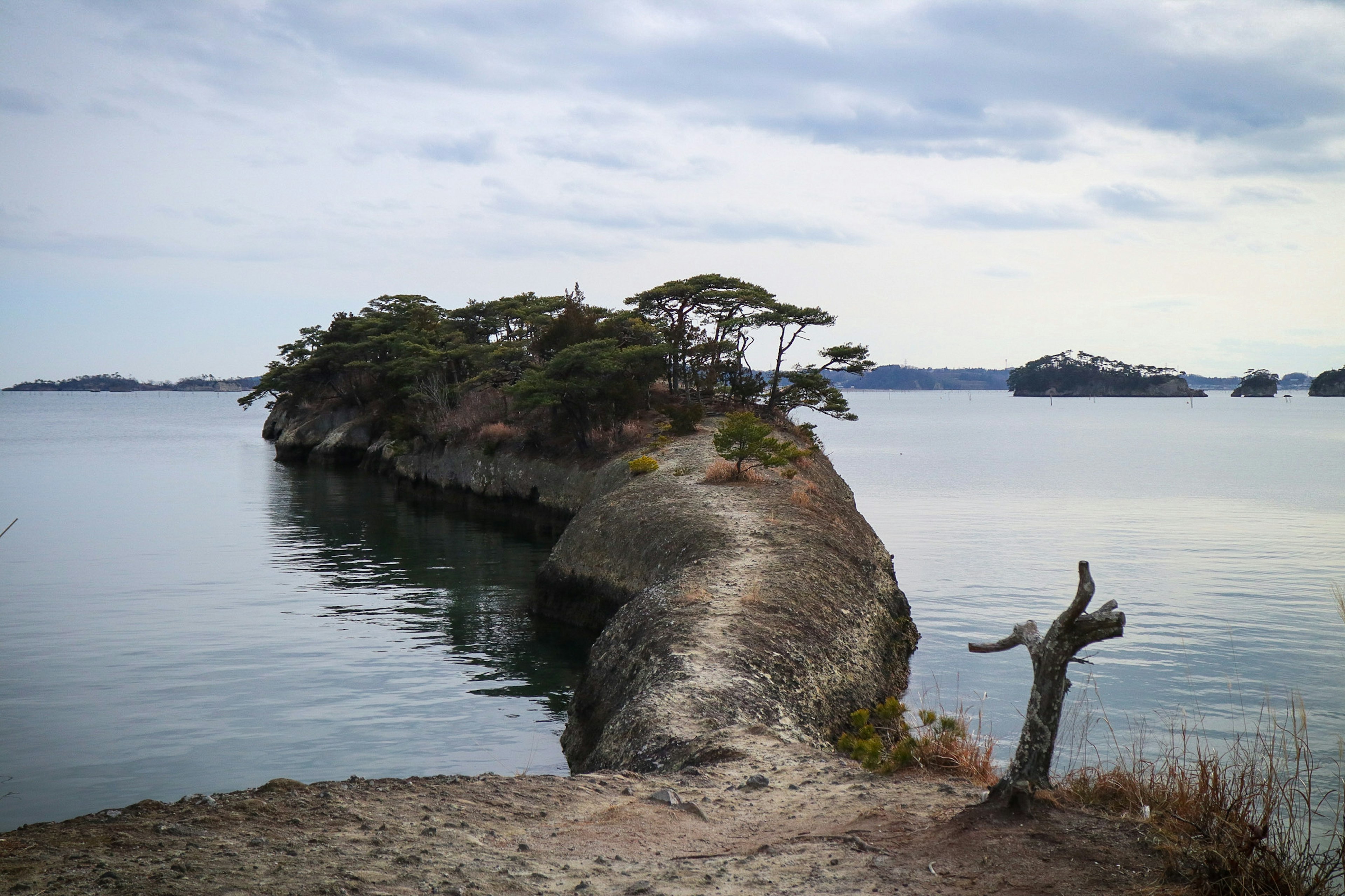 Una piccola isola circondata dall'acqua con vegetazione lussureggiante e un paesaggio sereno