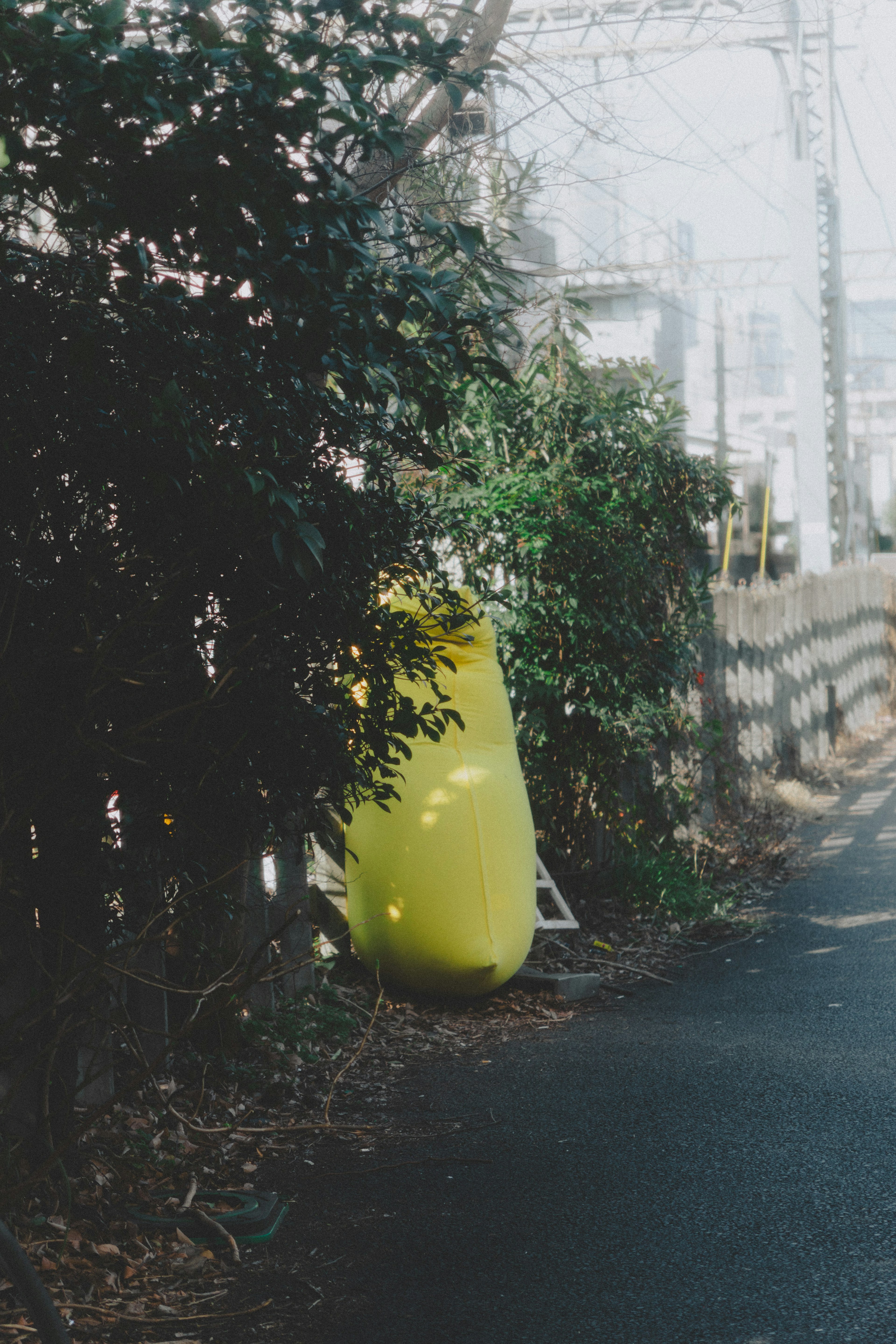 Photo of a yellow object surrounded by green plants along a path