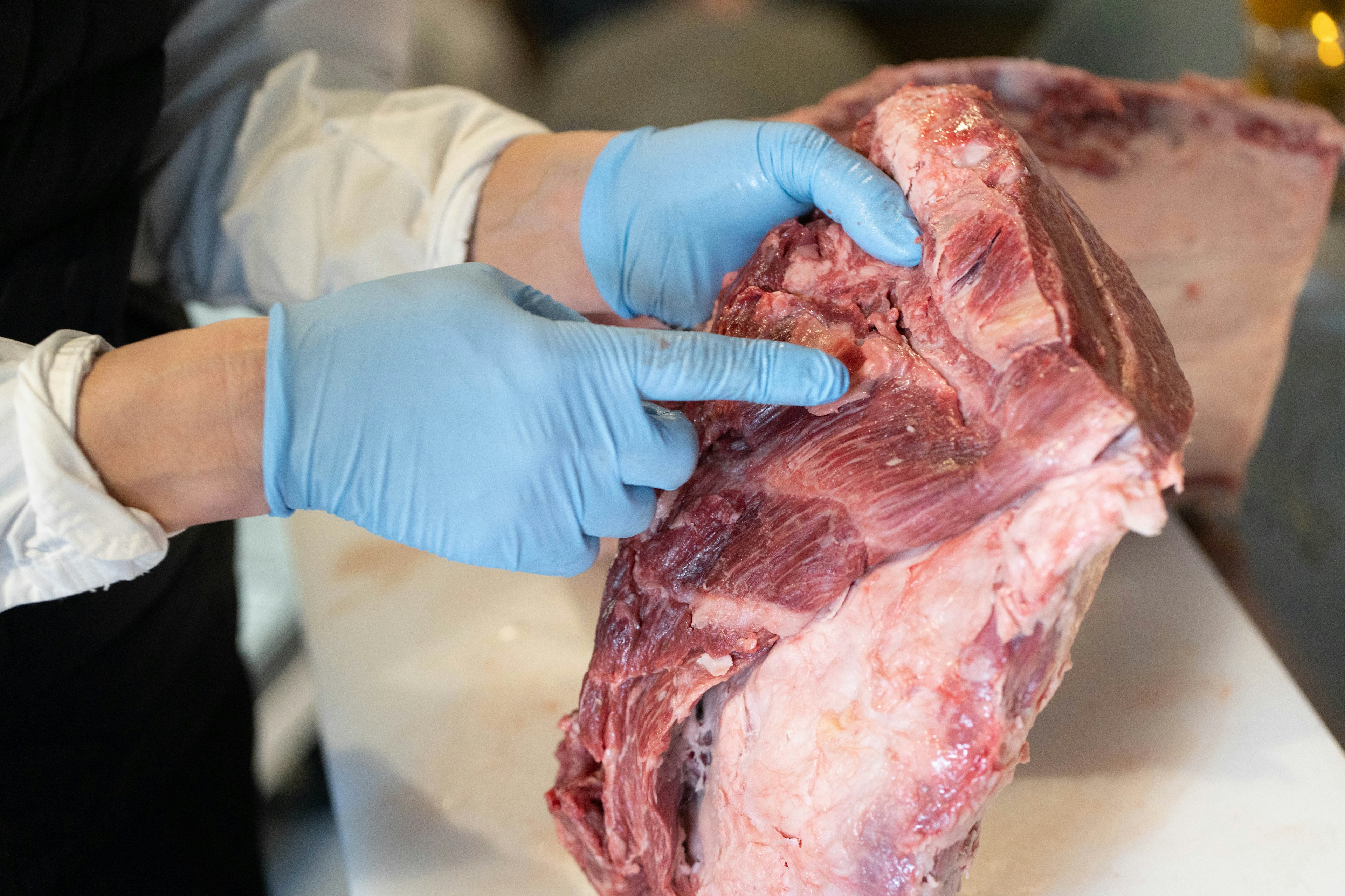 A person wearing gloves examining a cut of meat with their finger