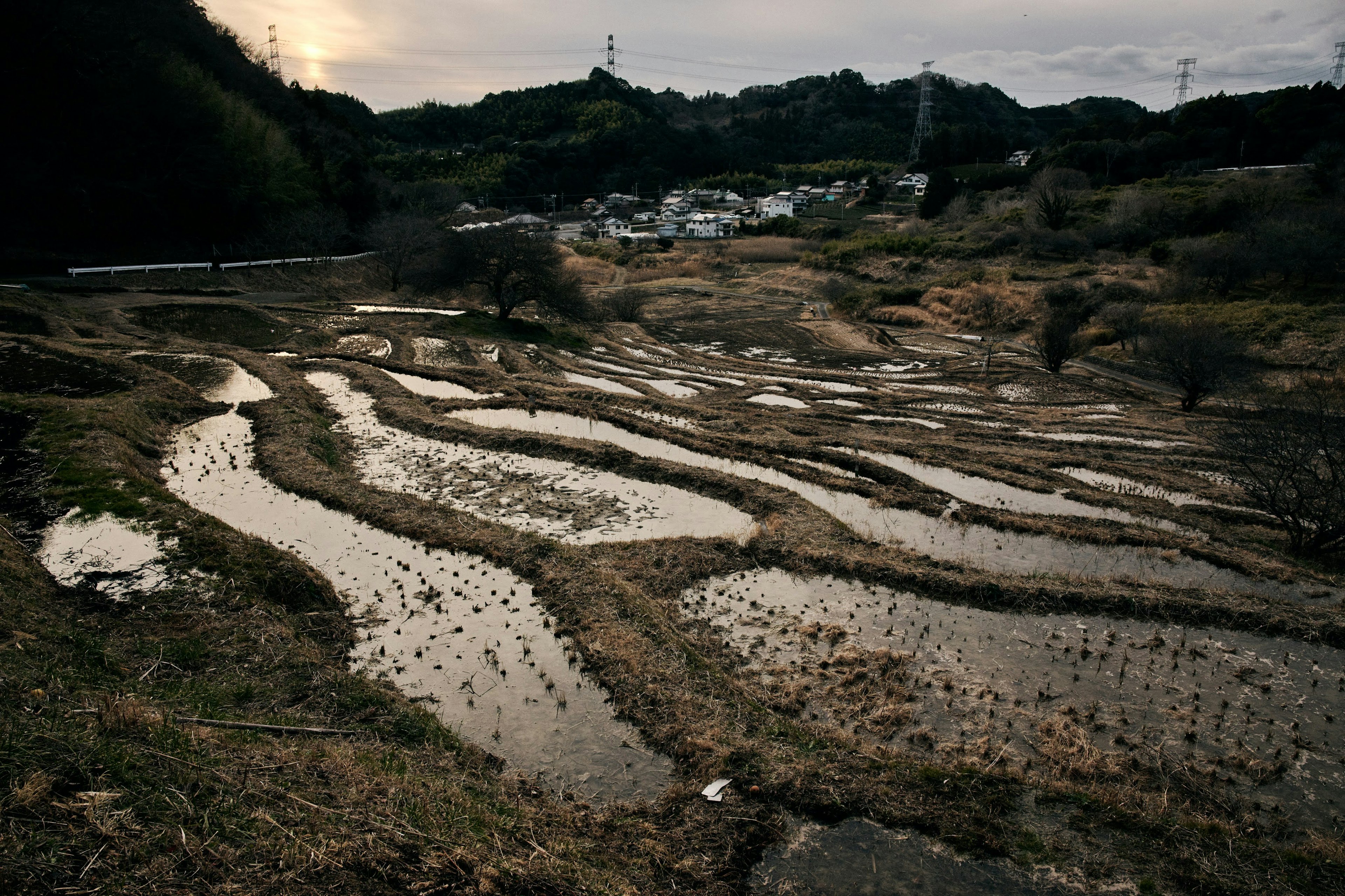 Paesaggio di risaie con canali d'acqua sinuosi