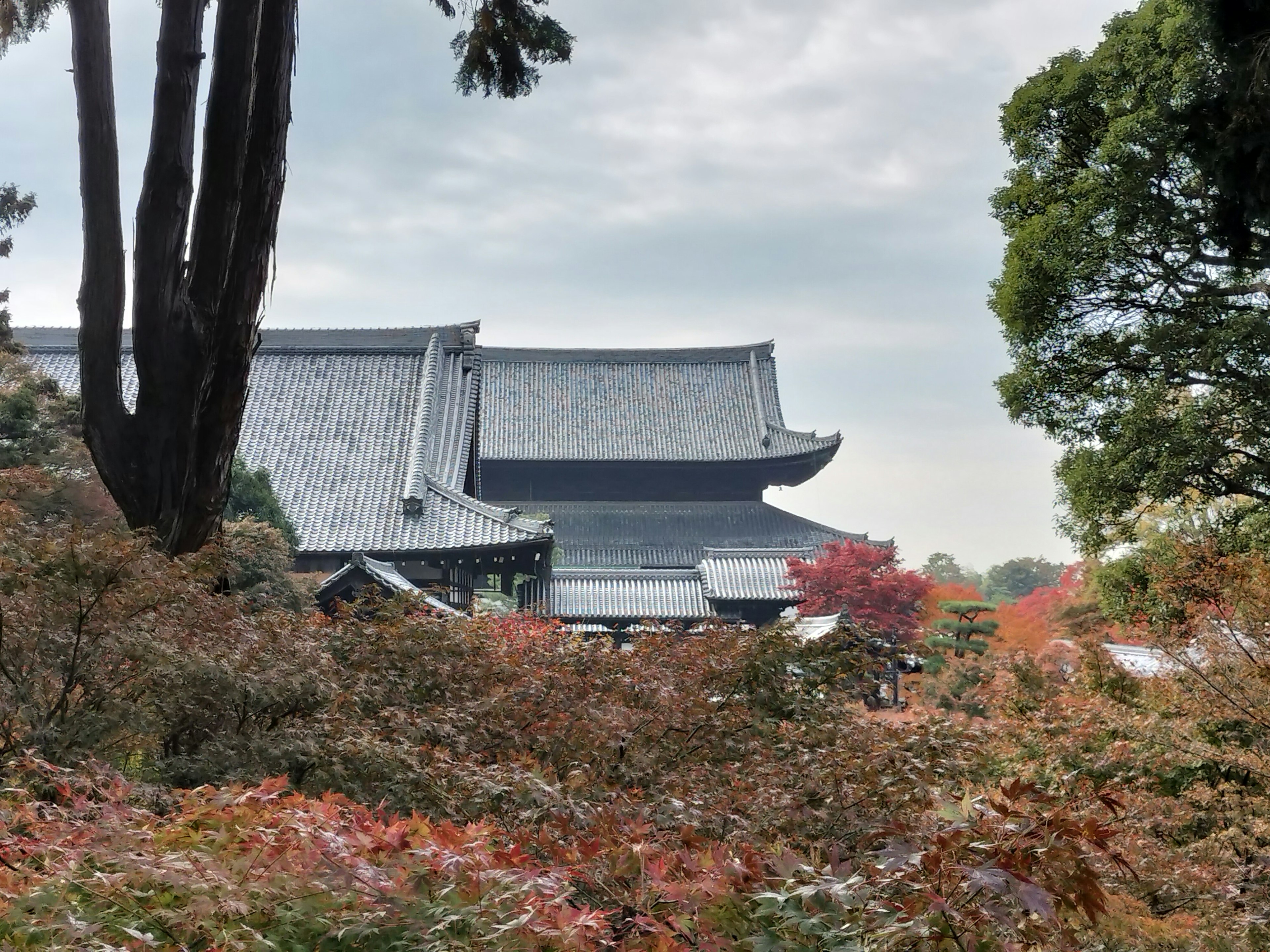 Scenic view featuring traditional Japanese architecture surrounded by autumn foliage