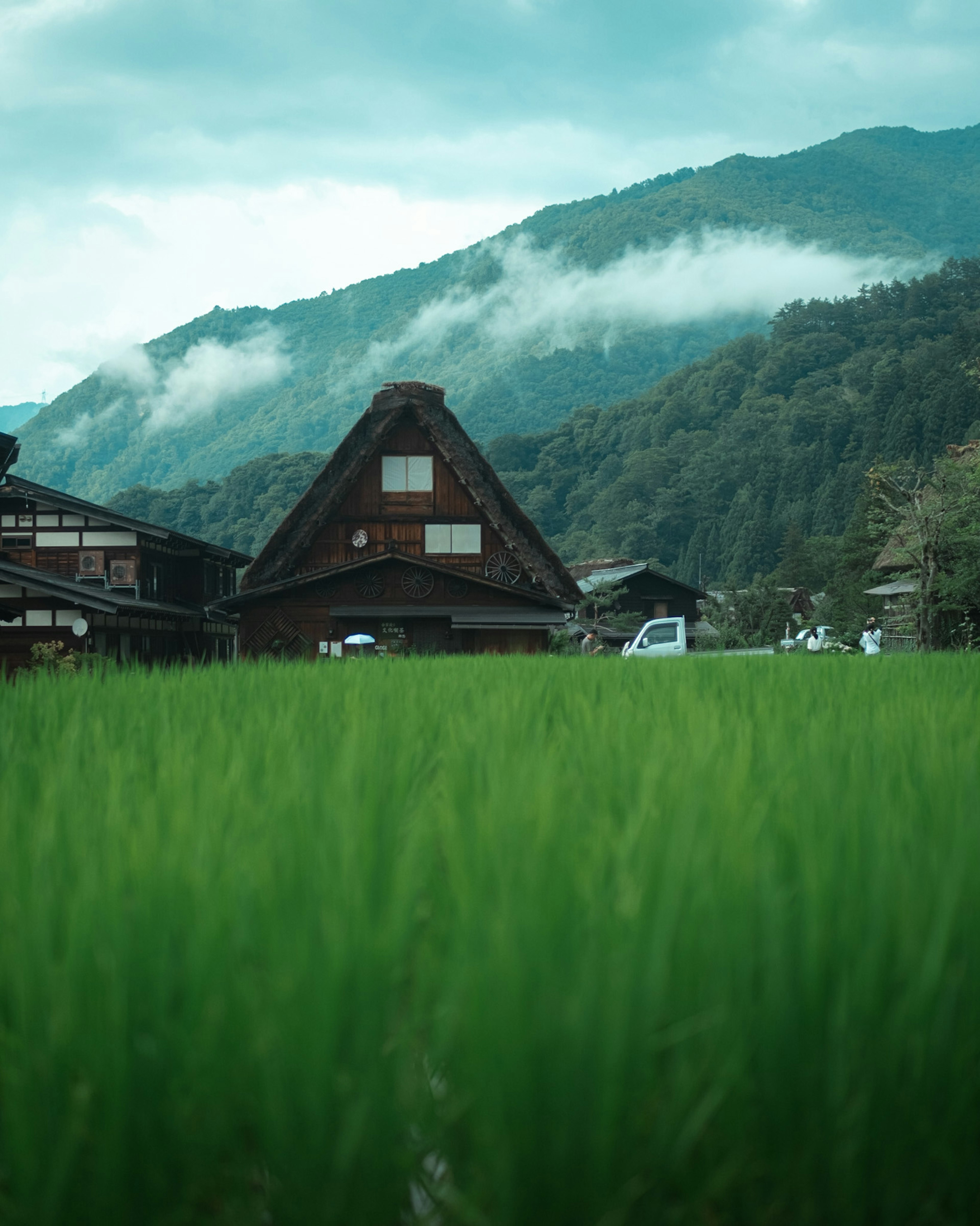 Traditional gassho-zukuri house with lush green rice fields and mountains in the background