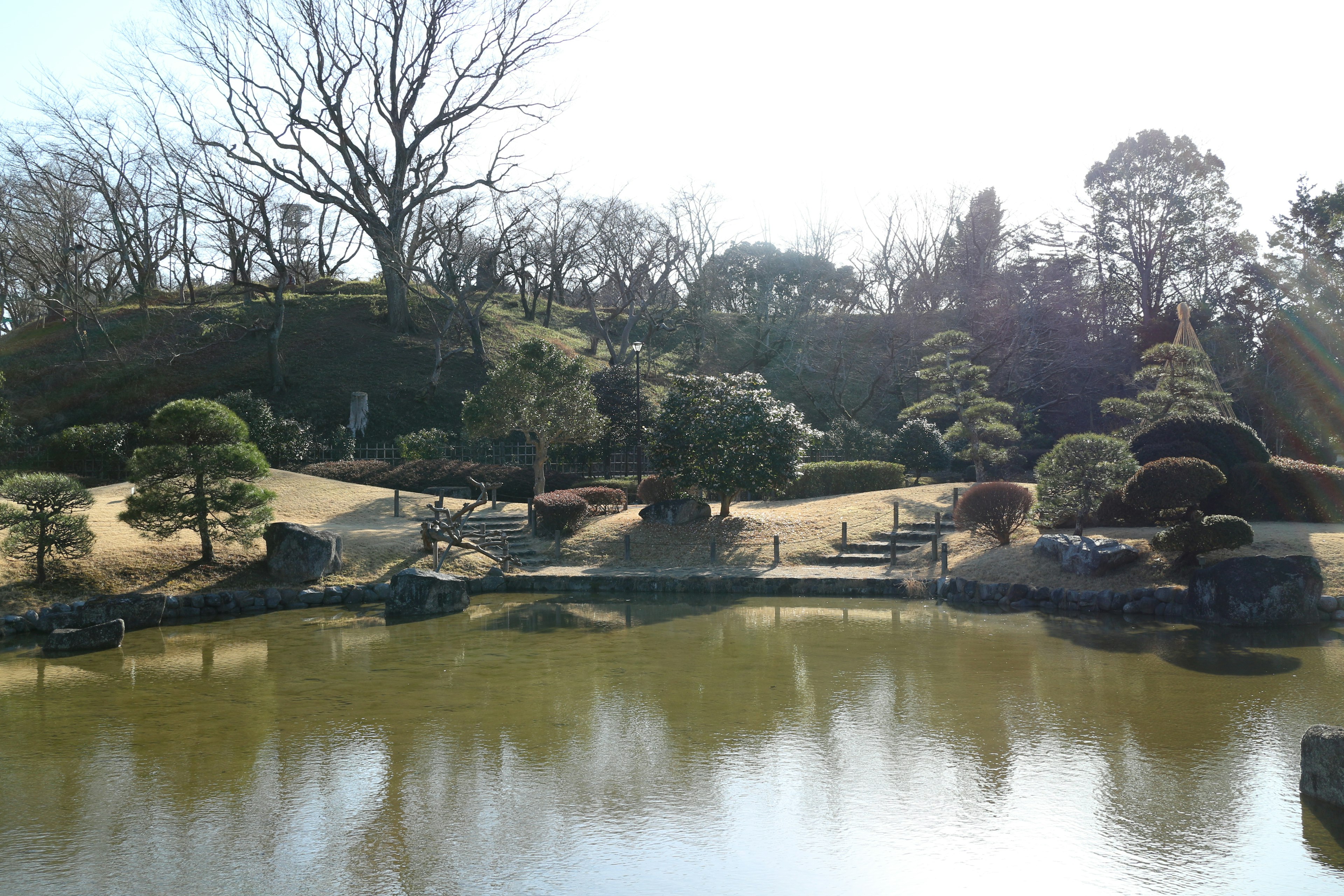 Stagno tranquillo con una bella scena di giardino giapponese