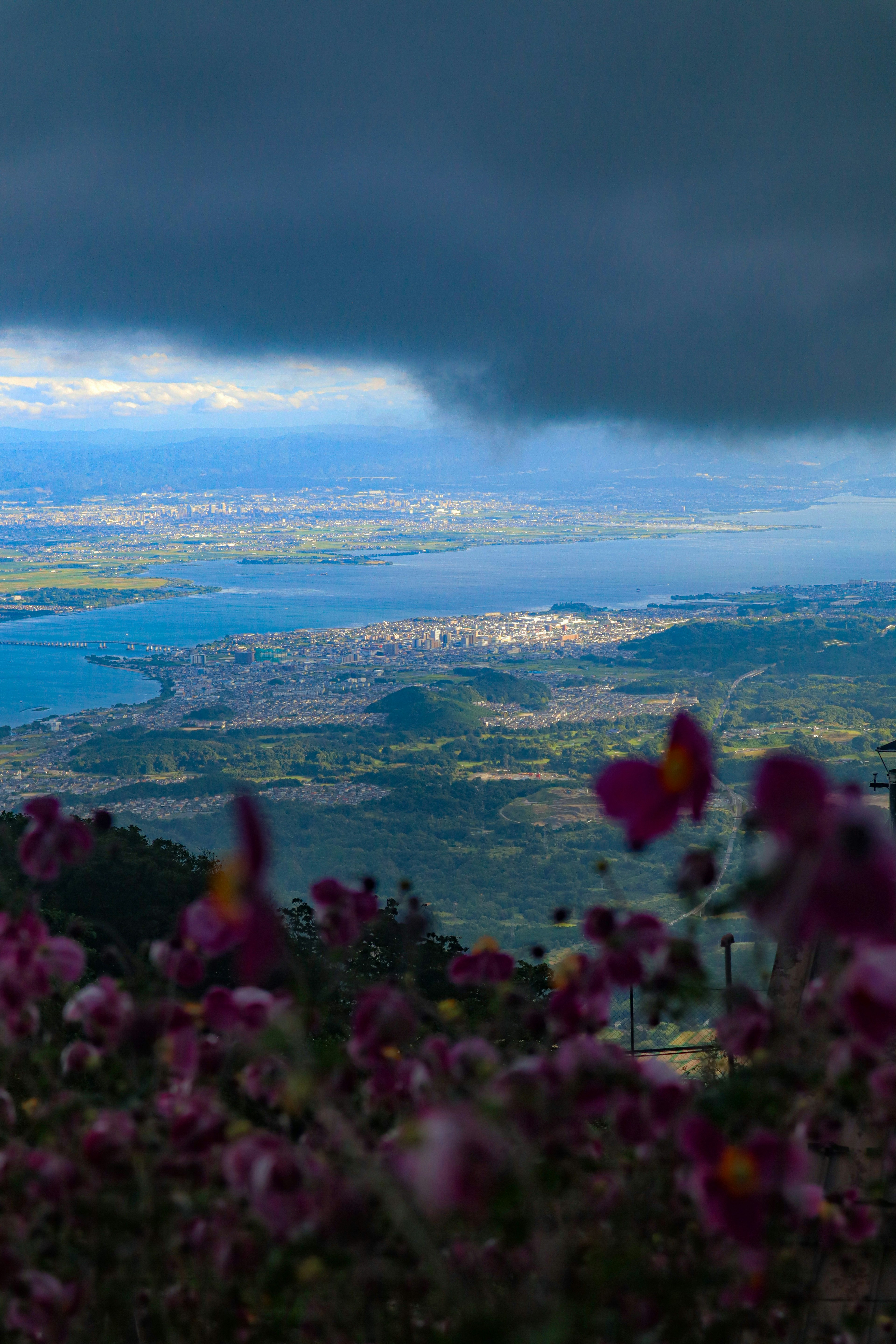 Vista panoramica con fiori in fiore e nuvole scure sopra