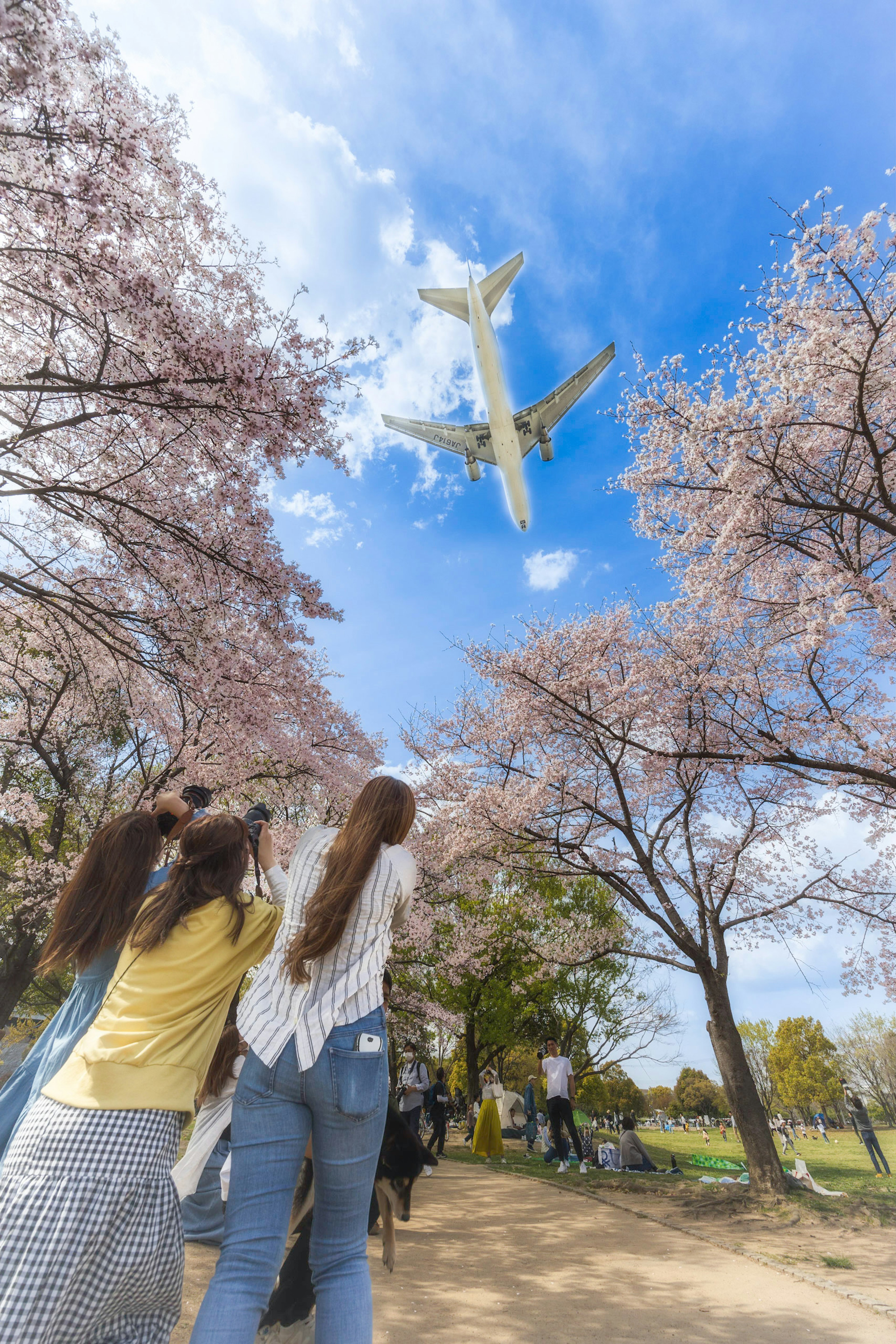 桜の木の下で飛行機を見上げる人々の姿