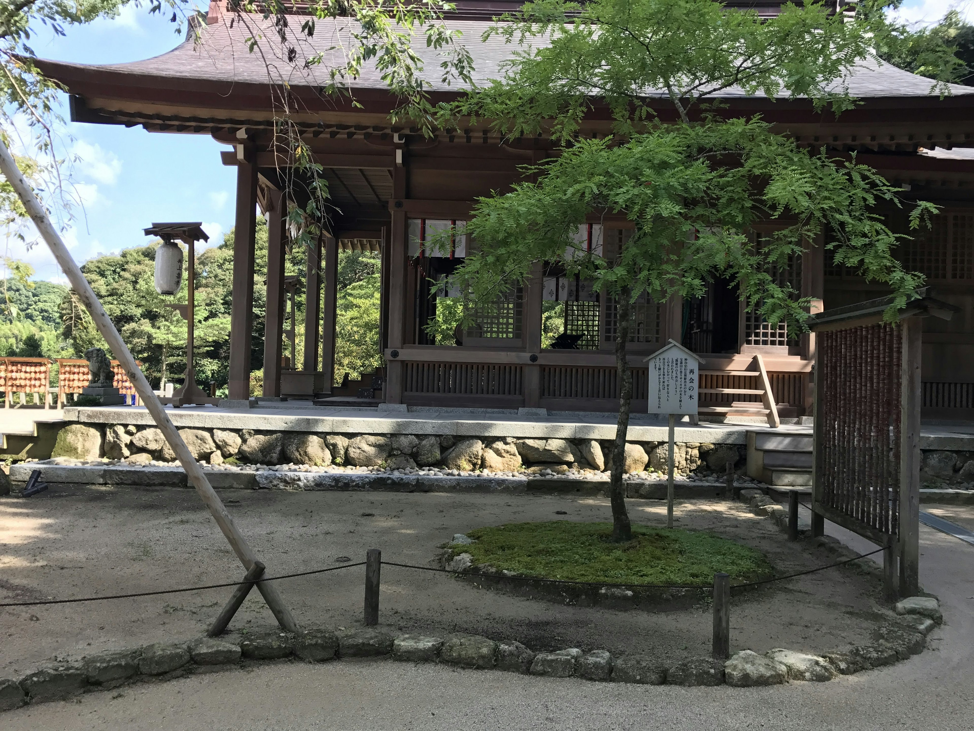 传统日本寺庙建筑被郁郁葱葱的绿树环绕