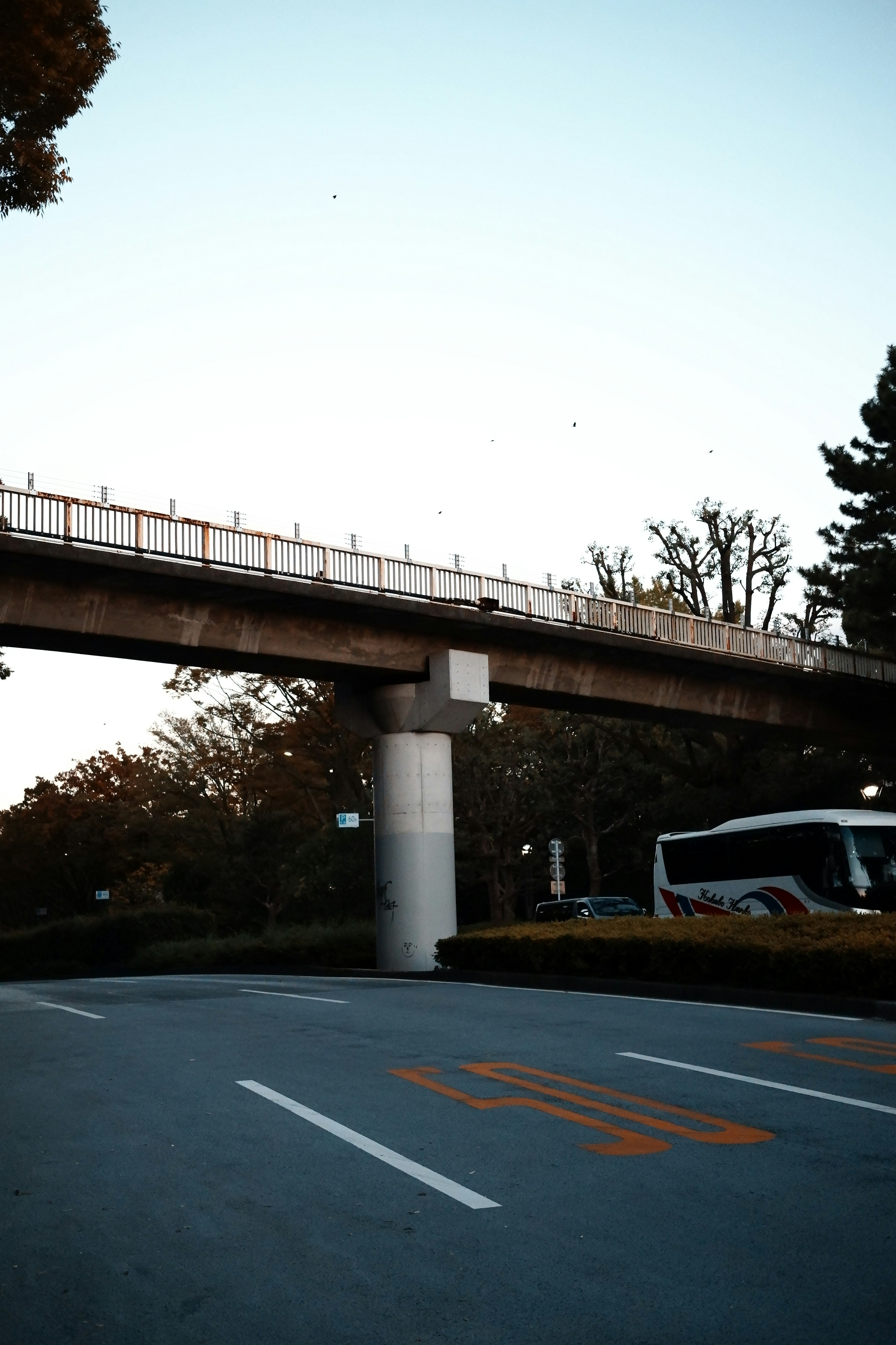 高架橋の下にある道路とバスの風景