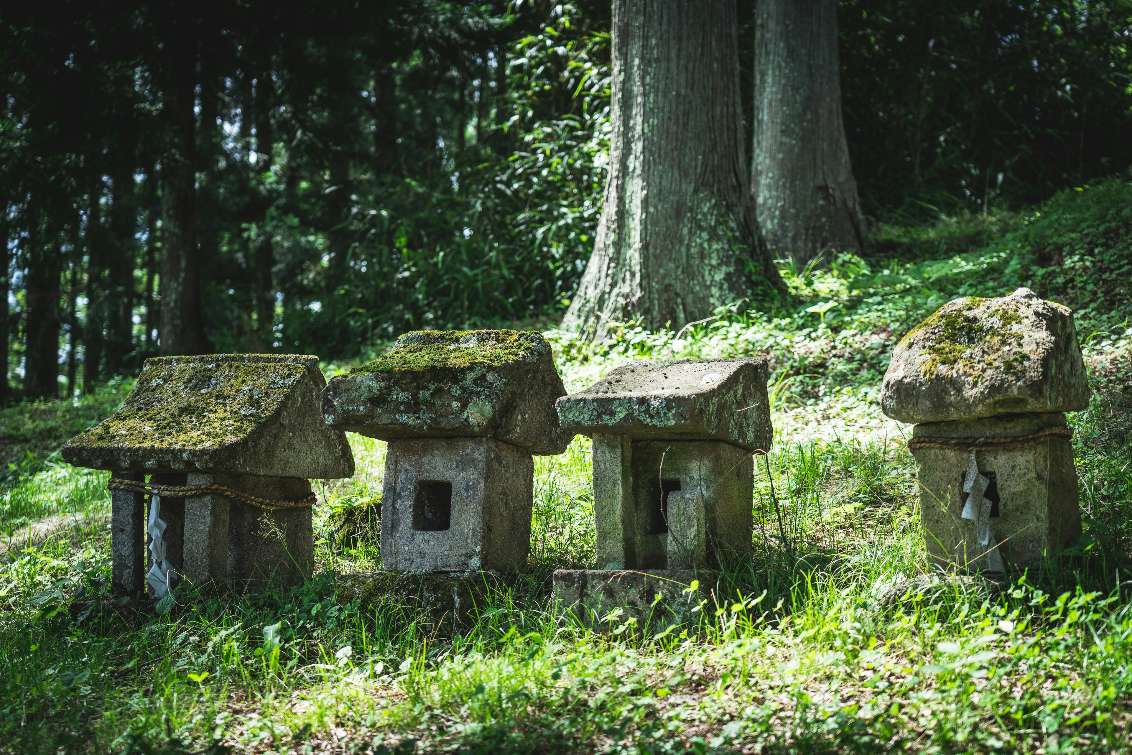 Eine malerische Ansicht mit alten Steinstrukturen, die kleinen Häusern ähneln, inmitten von grünem Gras