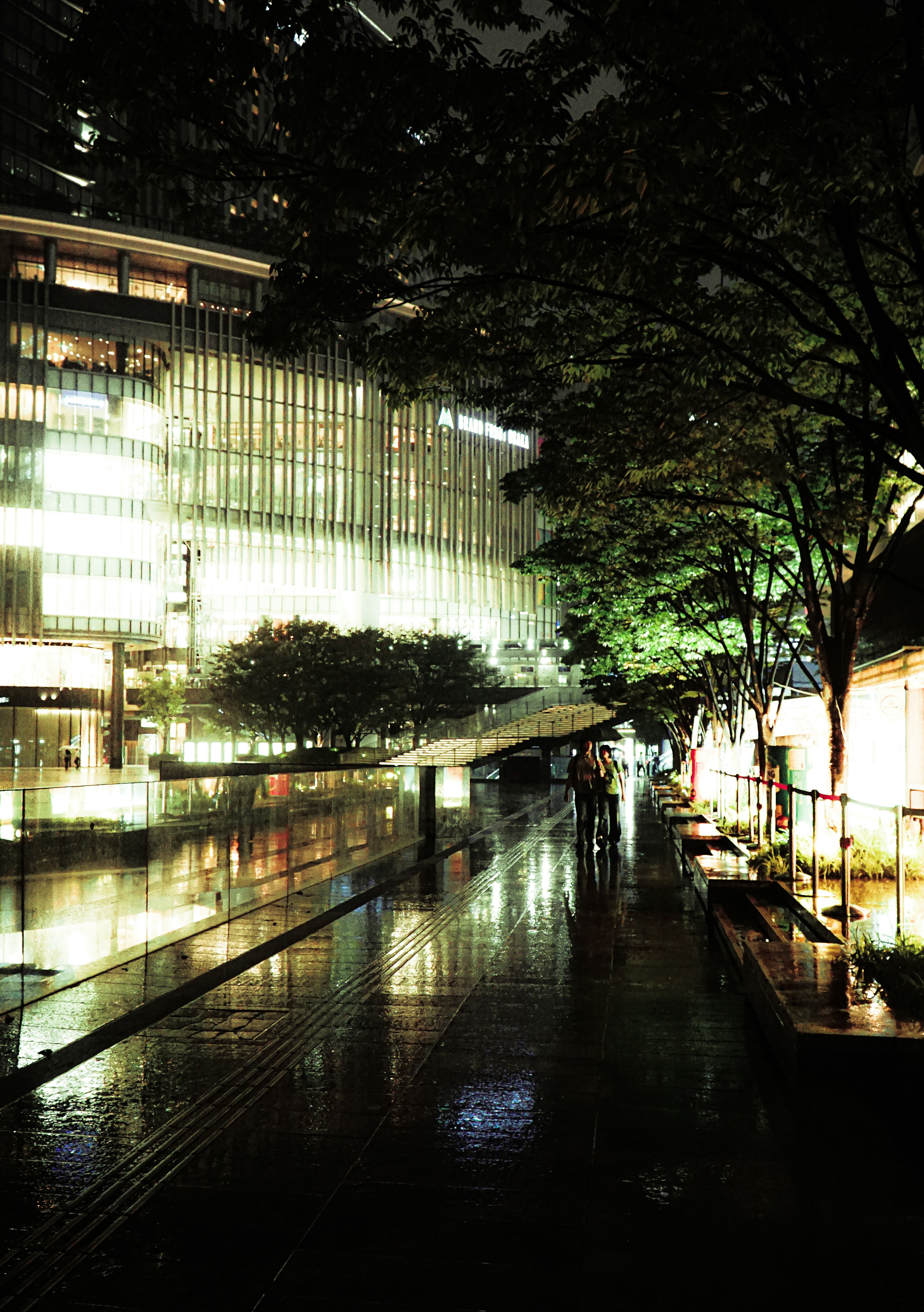 Rain-soaked street at night with illuminated buildings and trees