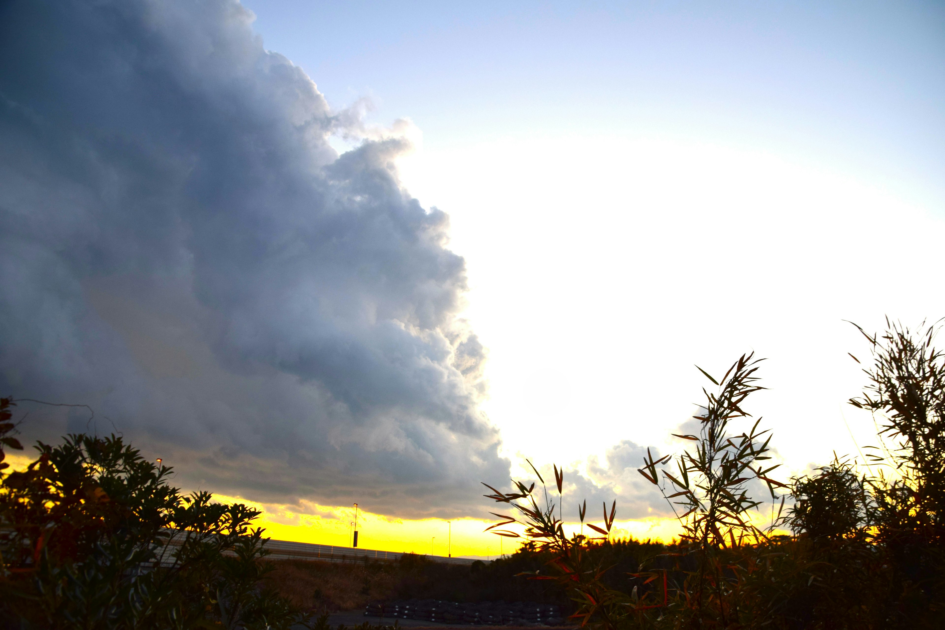 Cielo drammatico con nuvole e sagome di alberi al tramonto