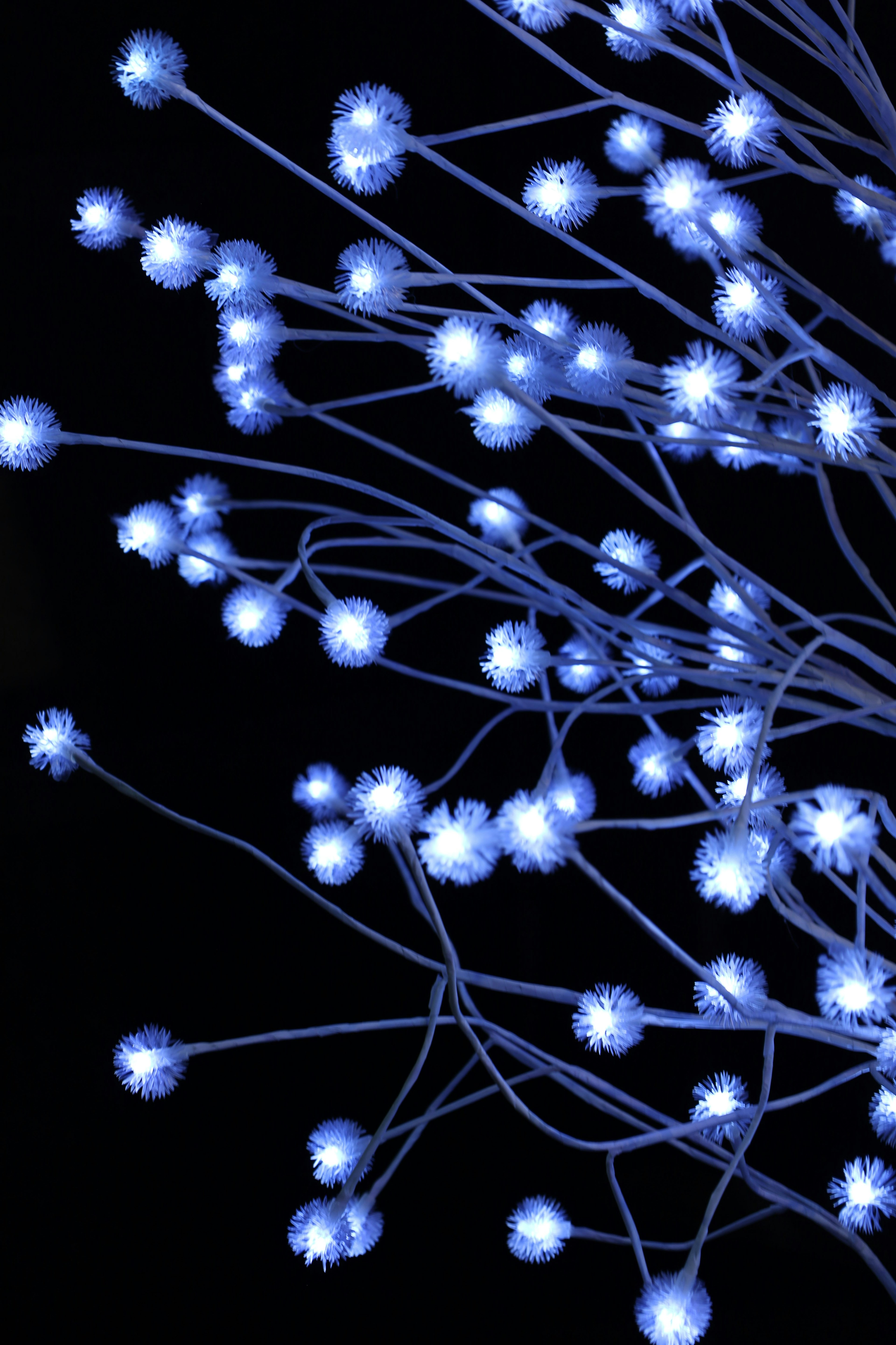 photo-WNcQsA7vqs9IRv7KnZx7-image