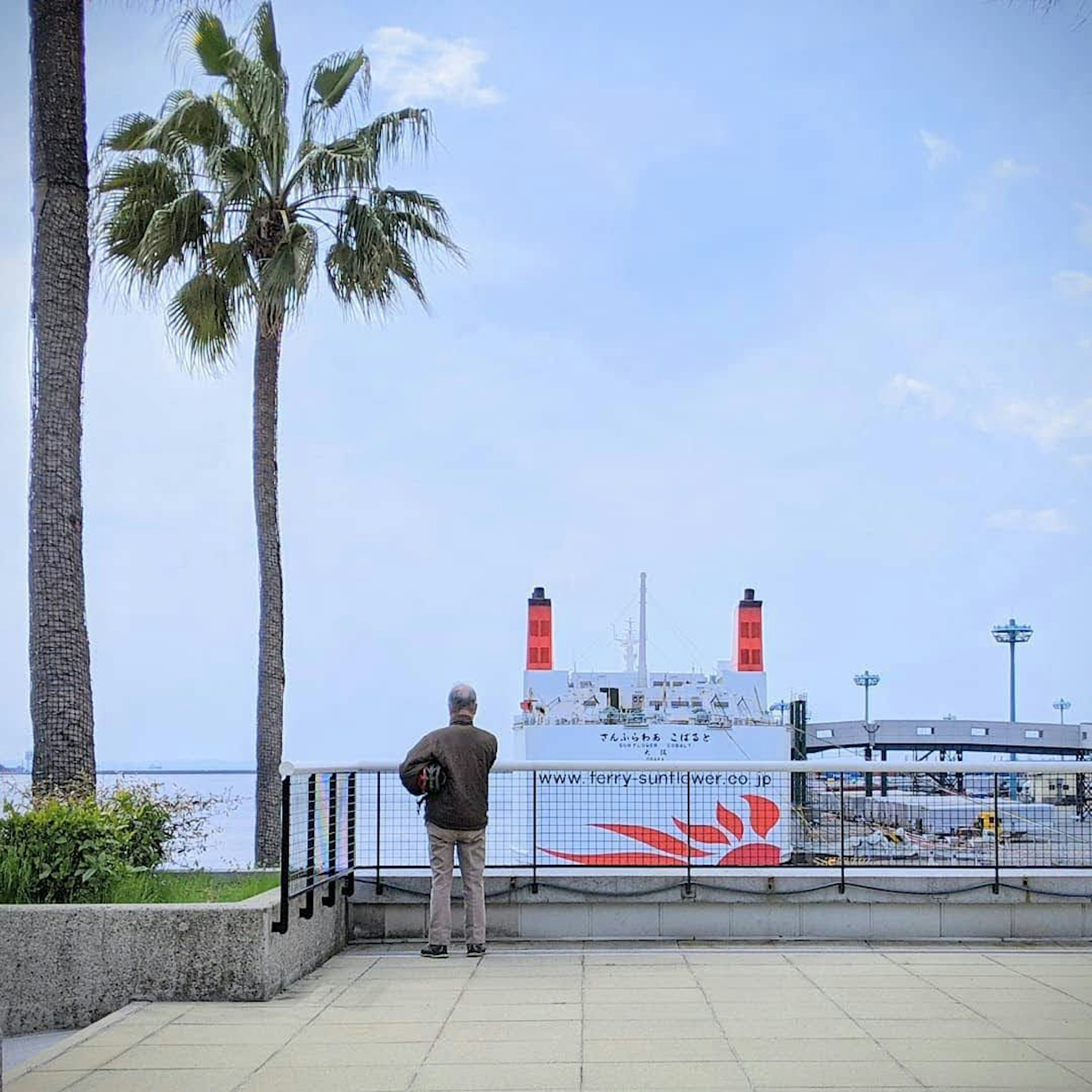 A man gazing at the sea with a ship featuring red smokestacks