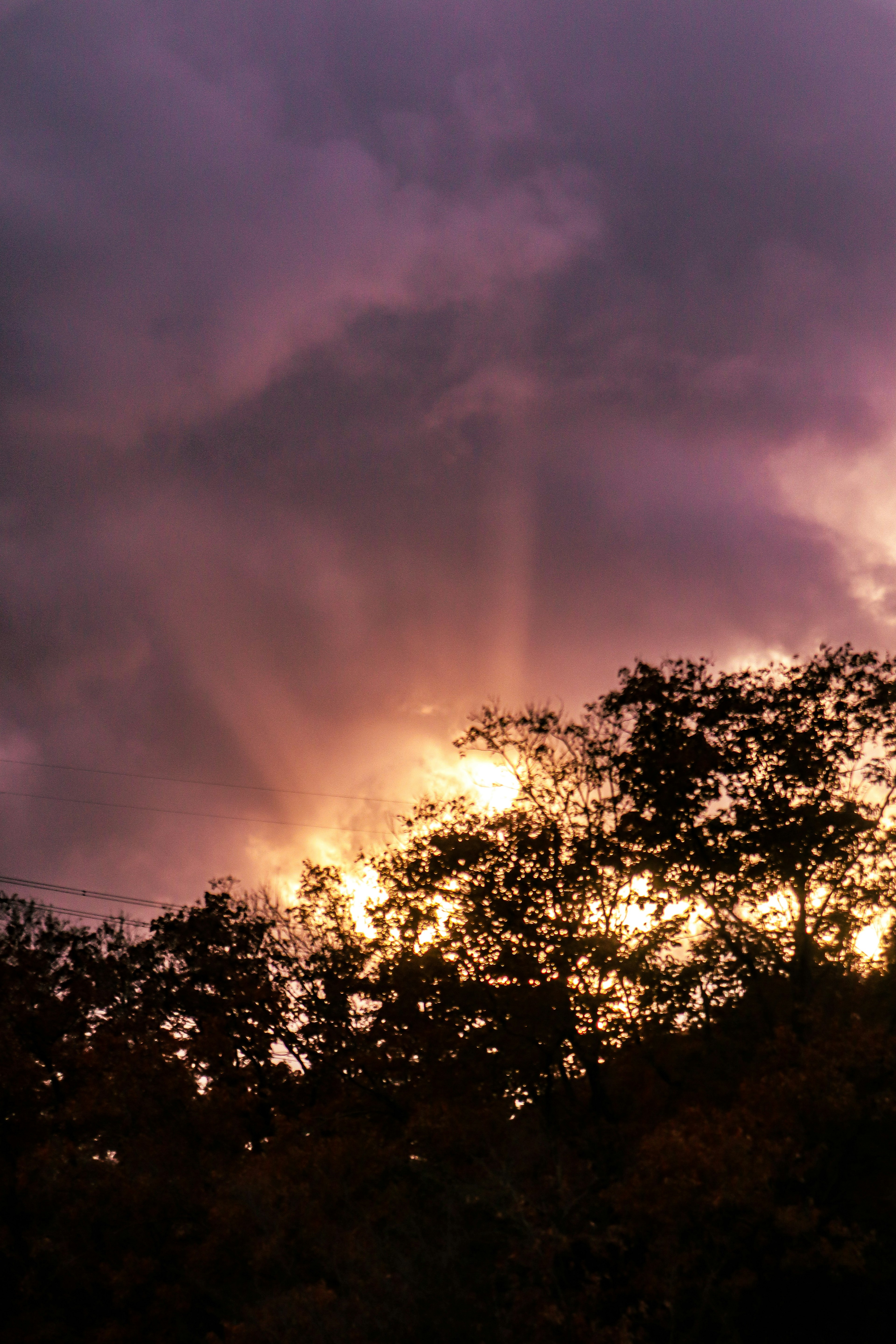 Sonnenuntergang mit lila Wolken und Lichtstrahlen, die durch die Bäume scheinen