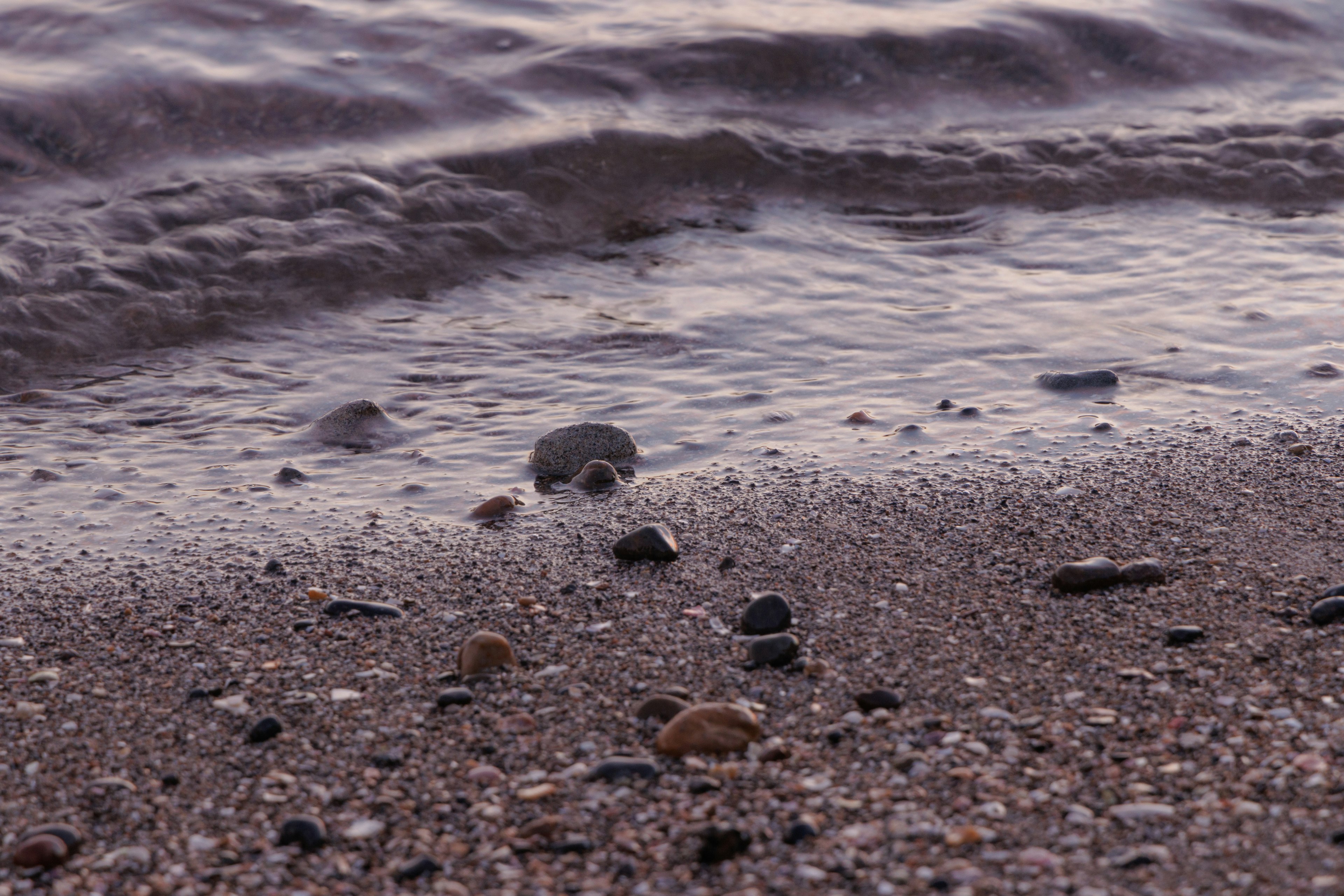 Small stones and shells scattered on a sandy beach with gentle waves