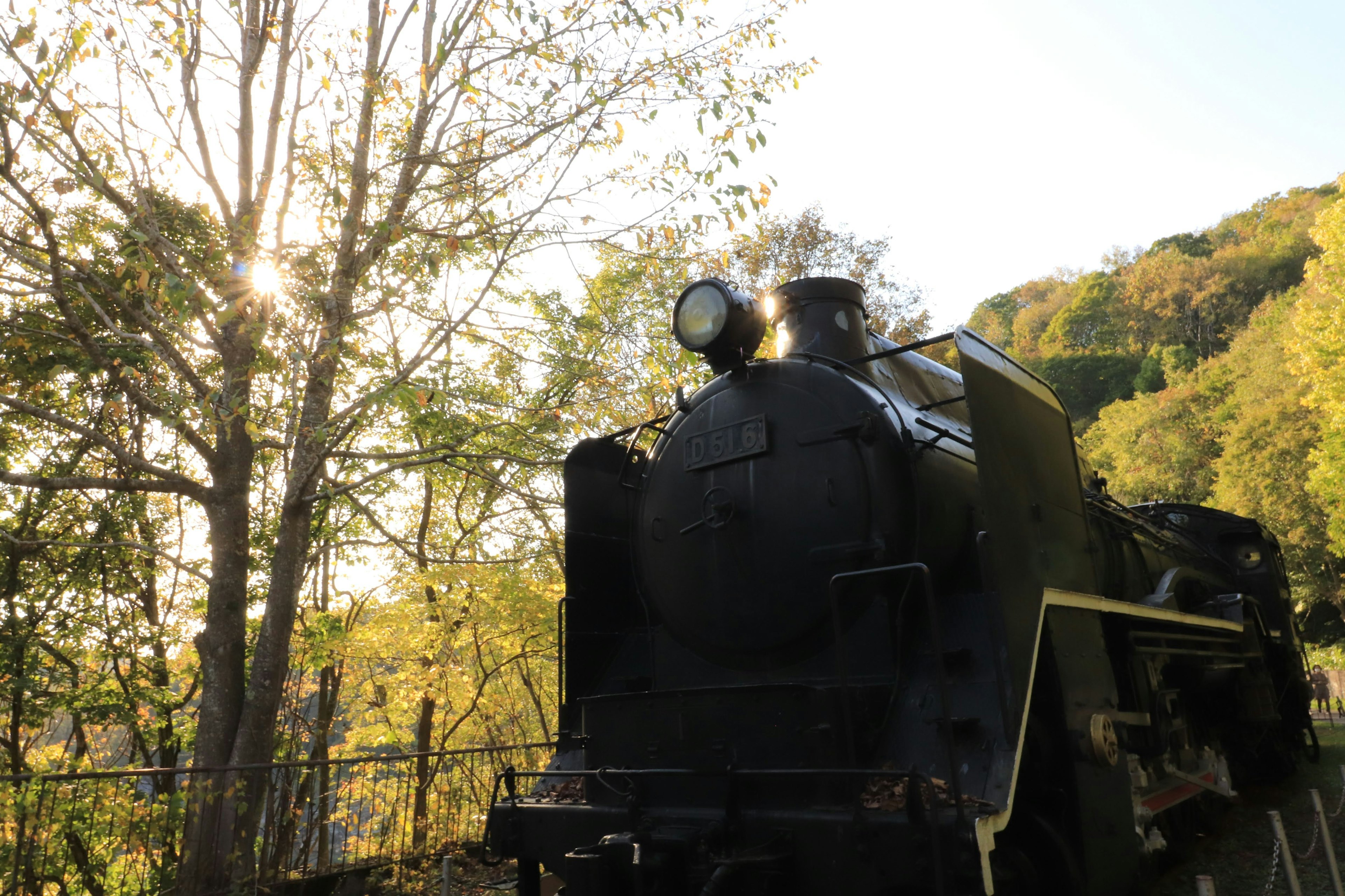 An old steam locomotive standing among green trees