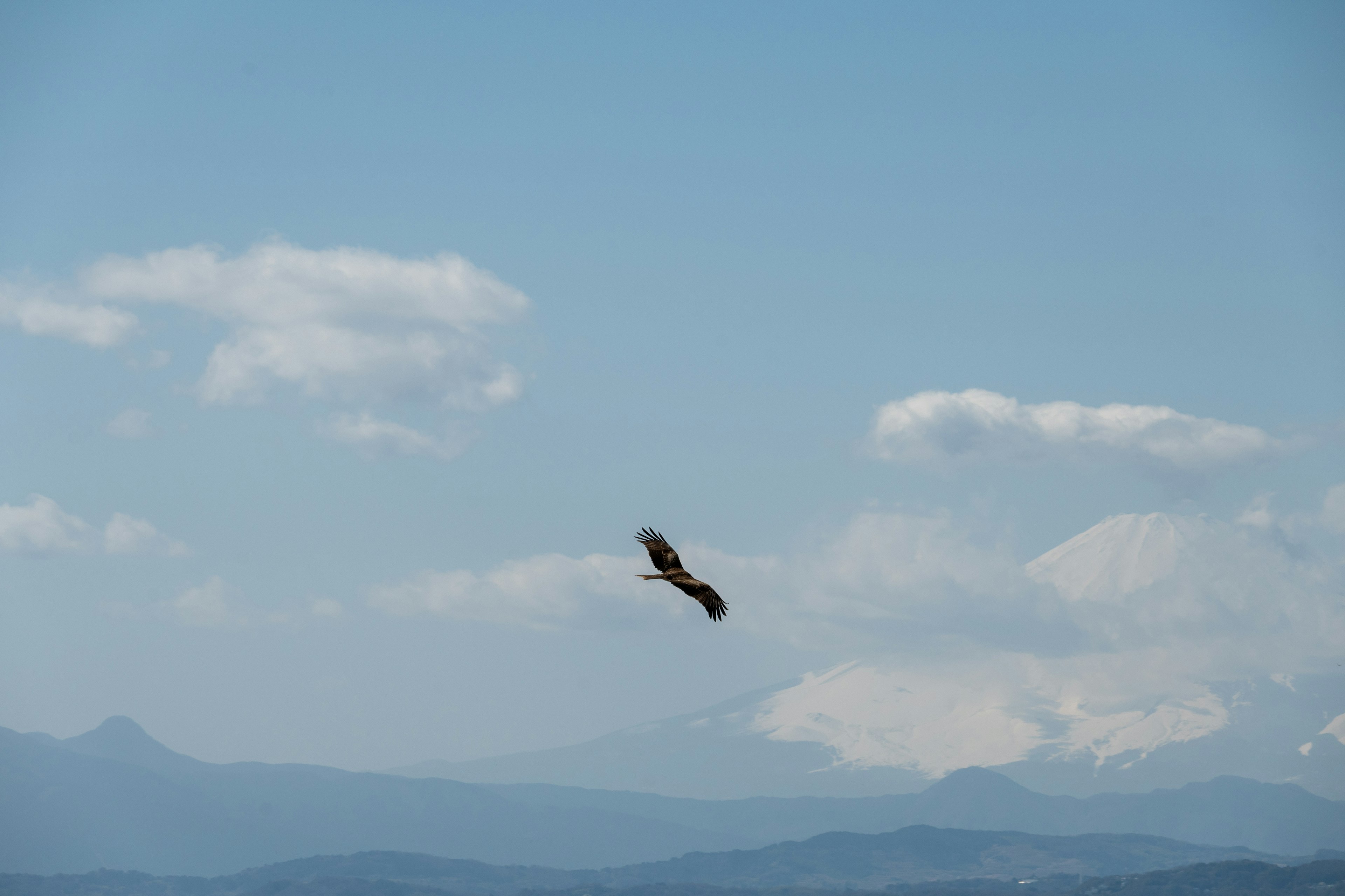 Un pájaro volando en el cielo con montañas de fondo