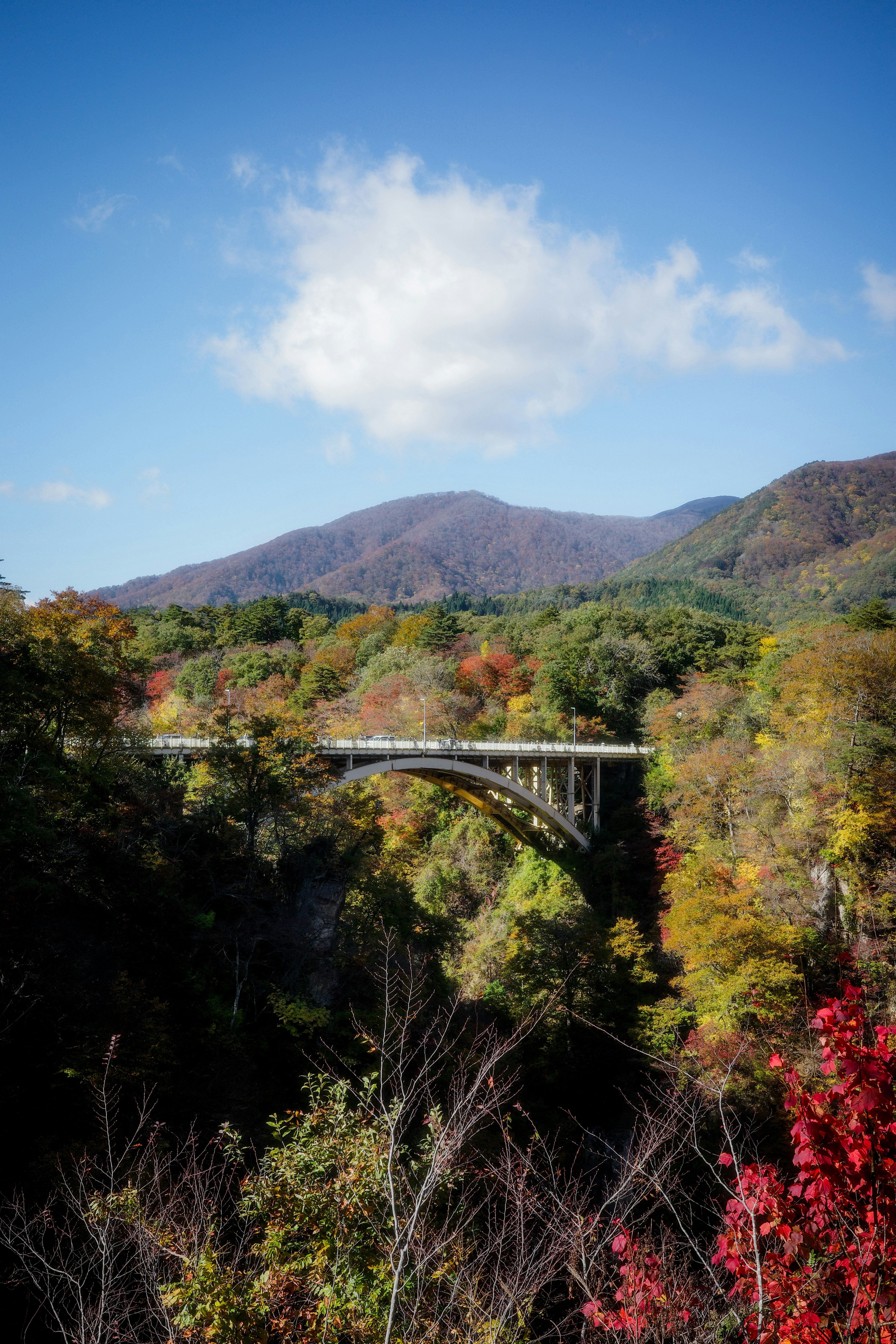 美しい秋の風景、色とりどりの木々と山々が背景に広がる橋