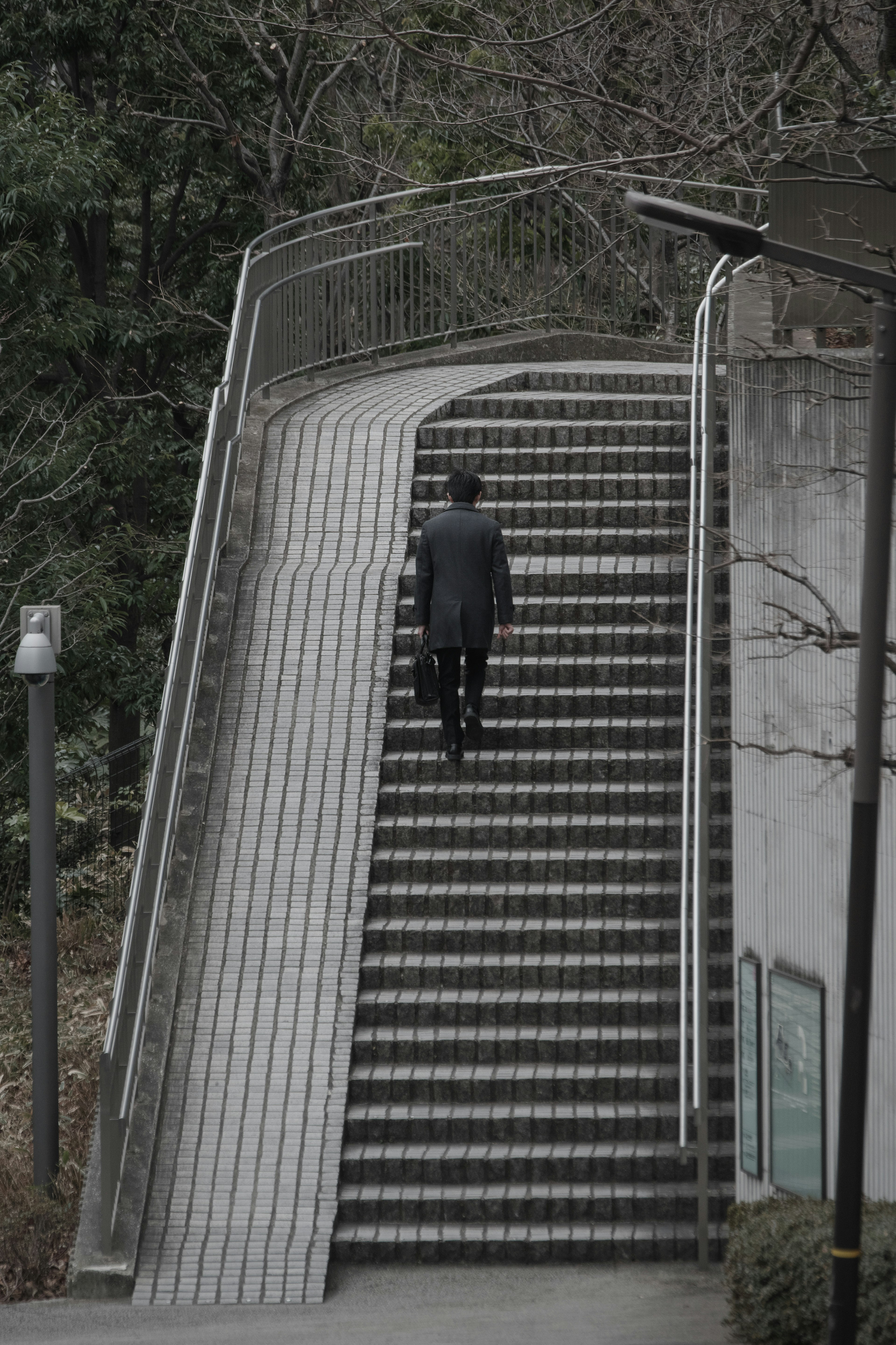 Eine Person, die eine Treppe mit grünem Hintergrund hinaufgeht