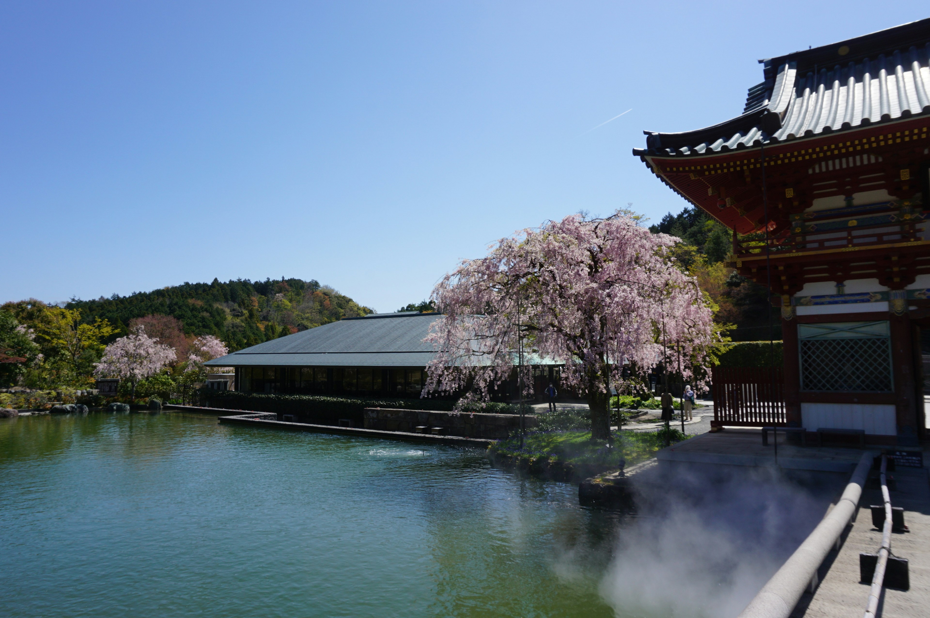 Pohon sakura dan pemandangan tepi air dengan bangunan tradisional