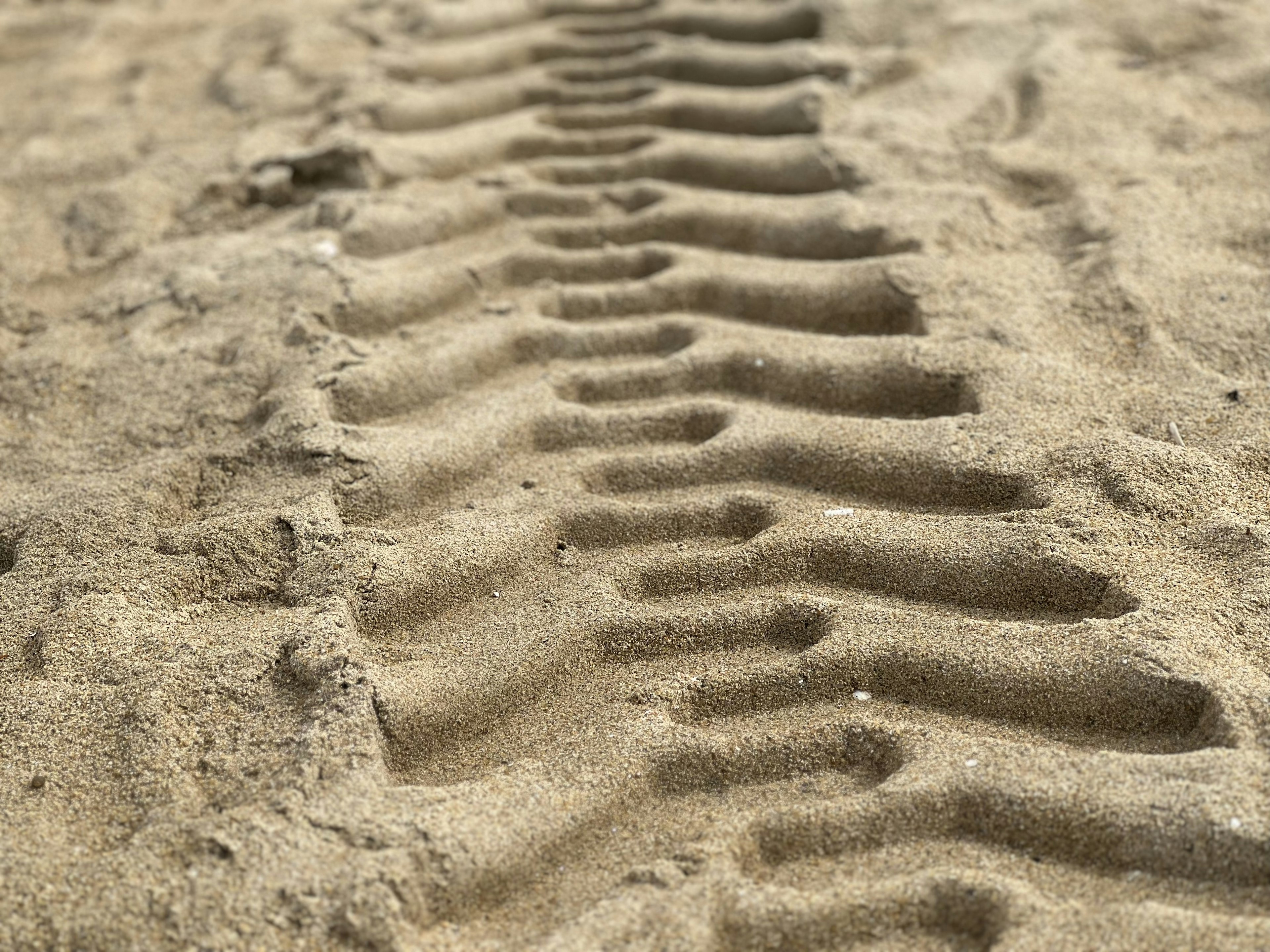 Traces de pneus sur une plage de sable