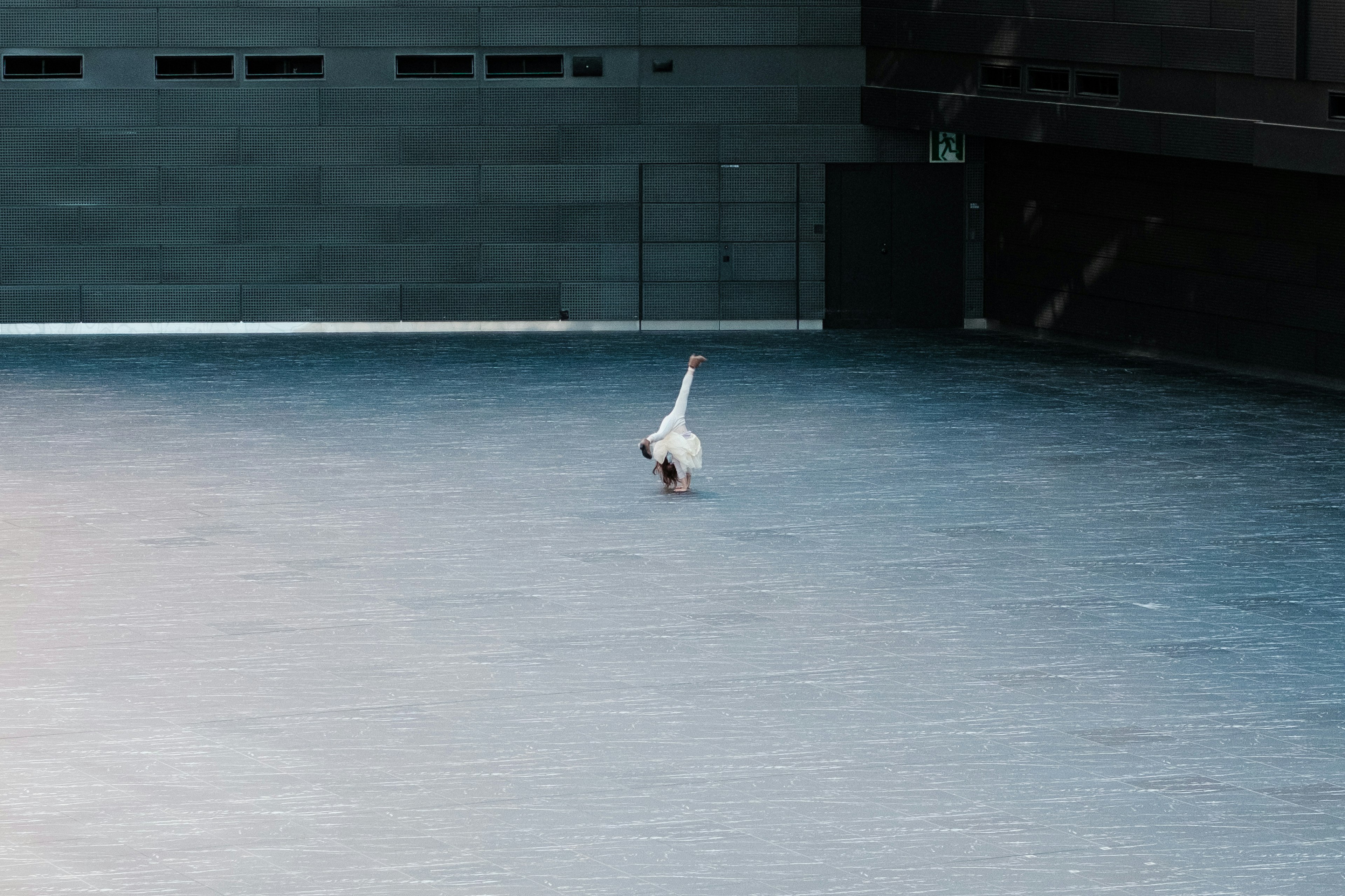 A white bird walking on a large gray floor