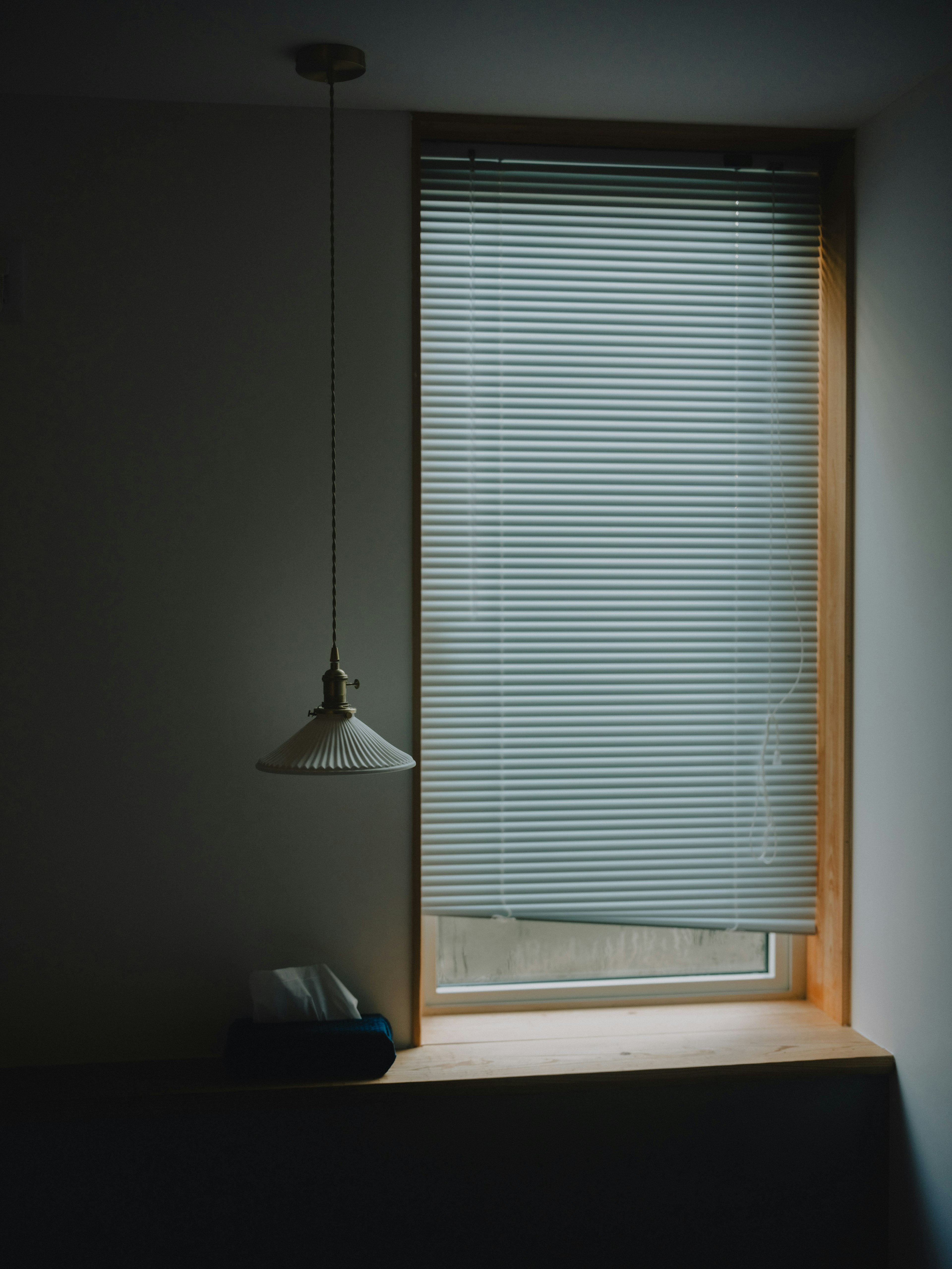 Interior scene featuring blinds at a window and a pendant light