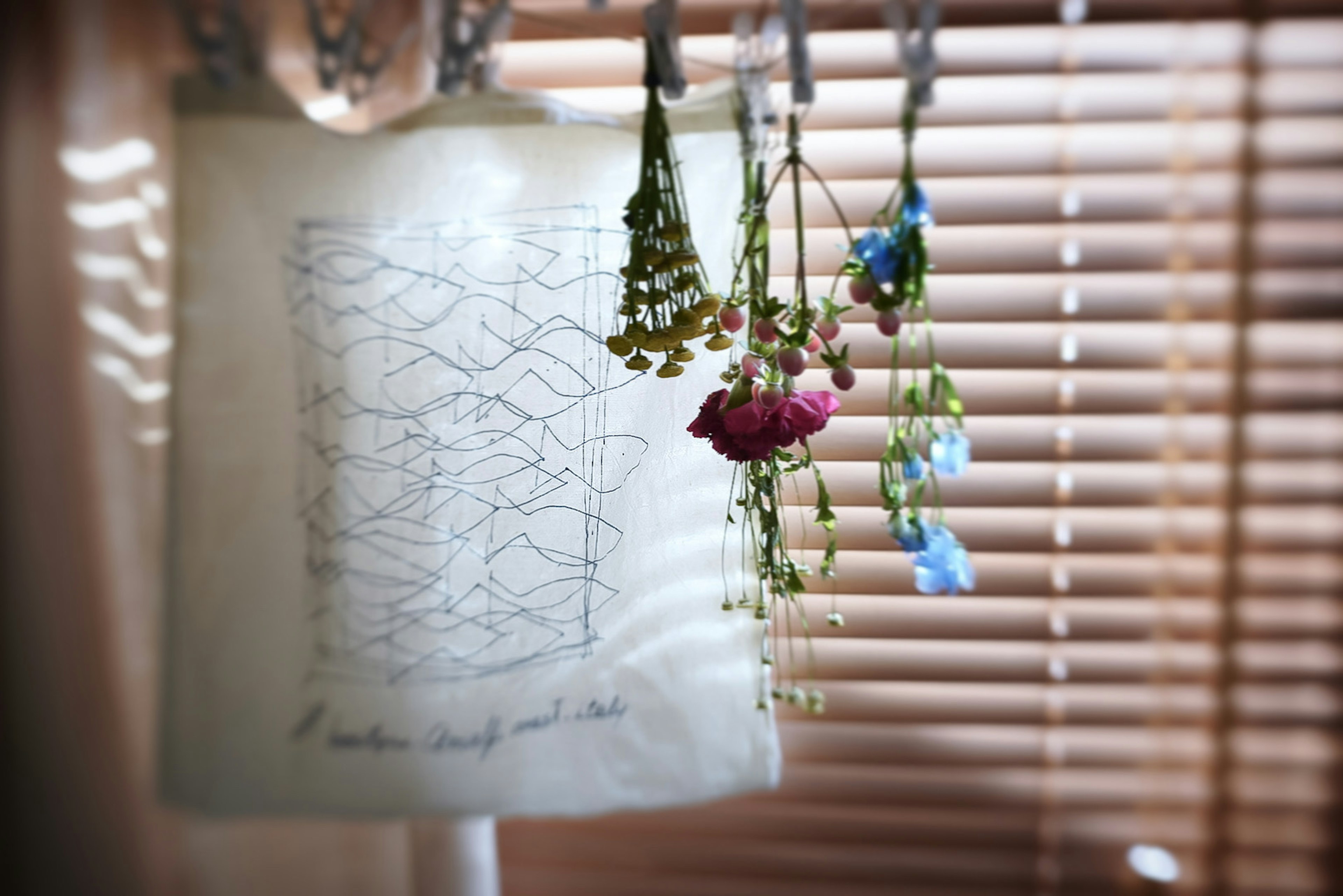 A plant sketch hanging by a window with colorful dried flowers