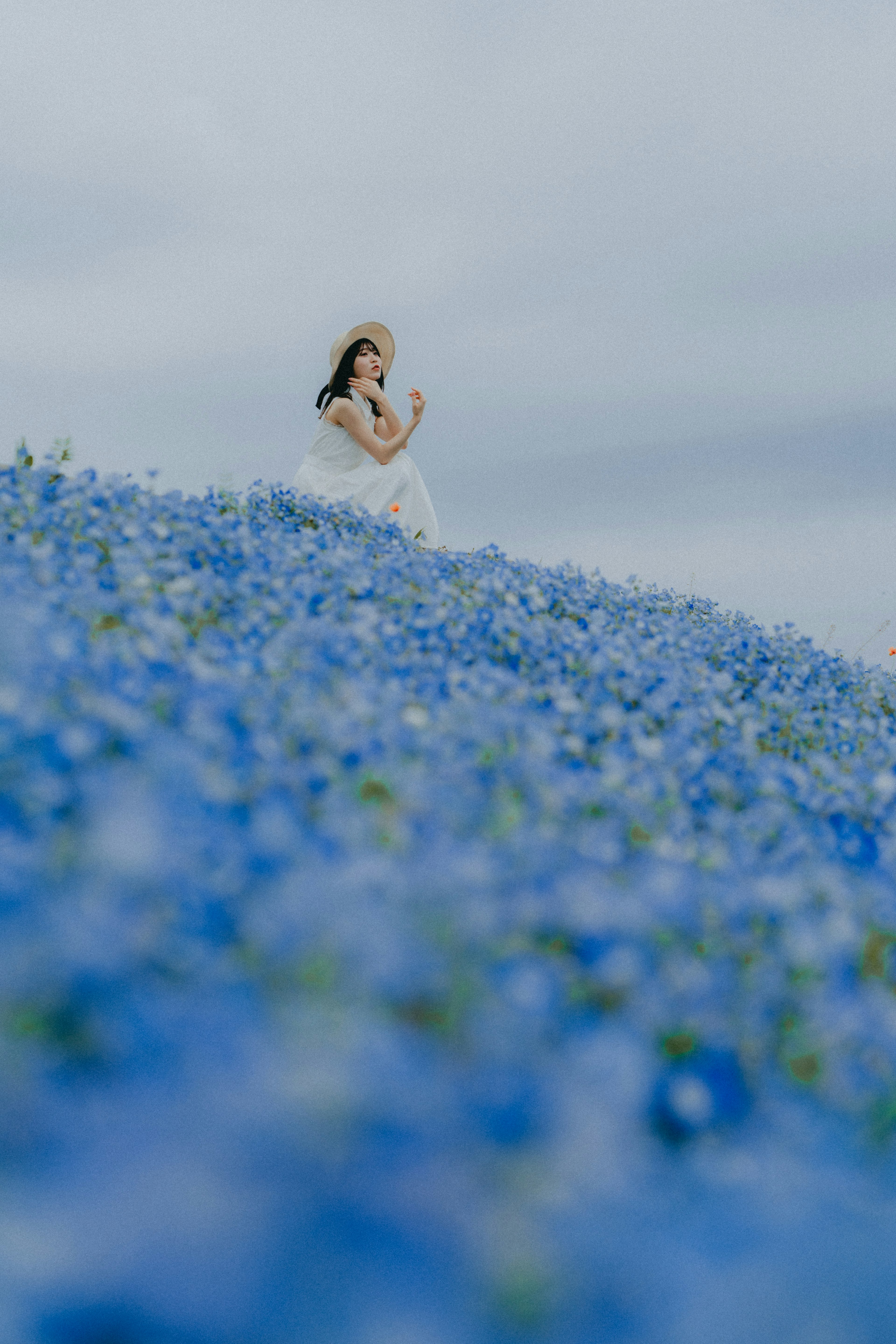 青い花畑の中に立つ女性の姿