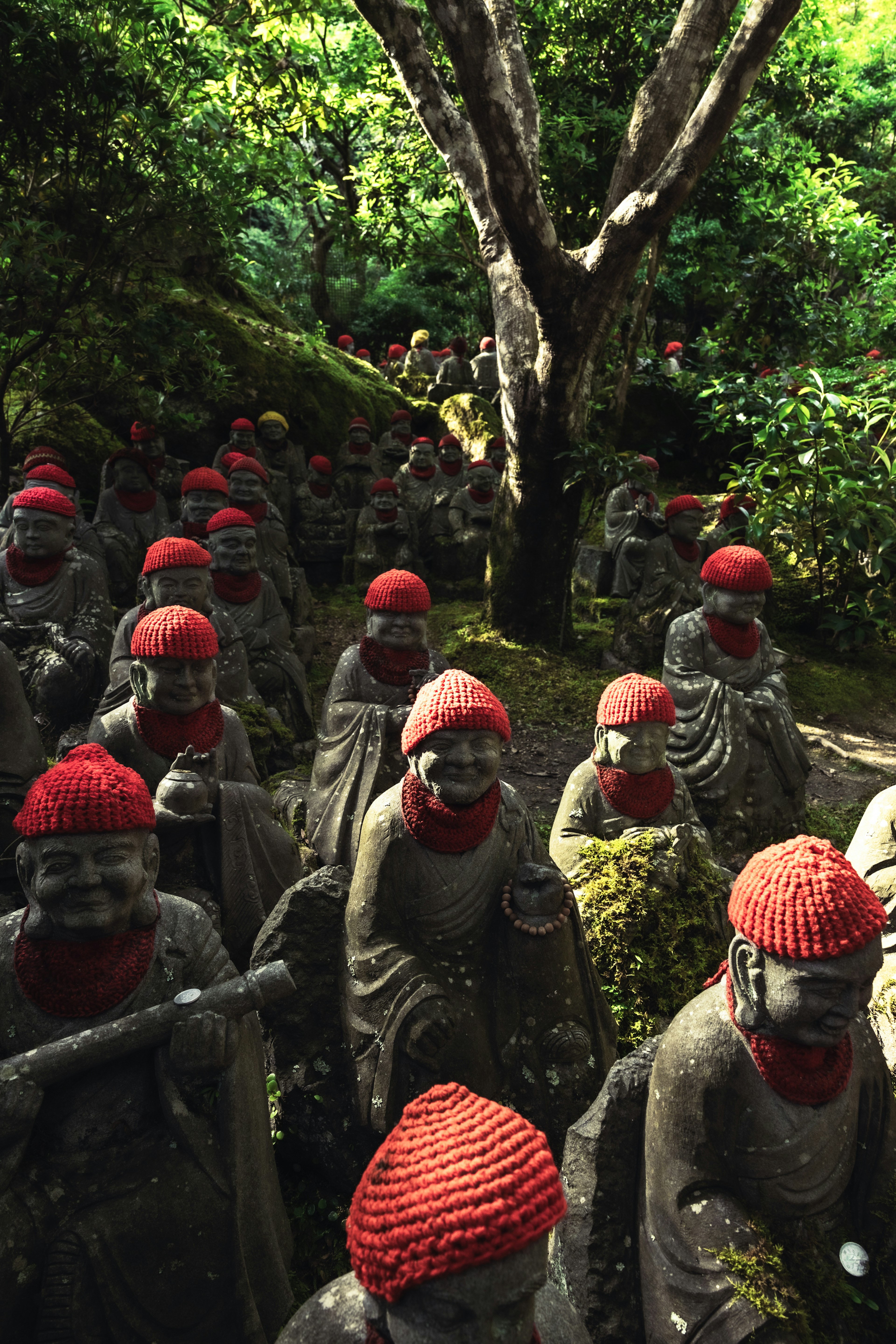 Statues de pierre portant des chapeaux rouges alignées dans une forêt luxuriante