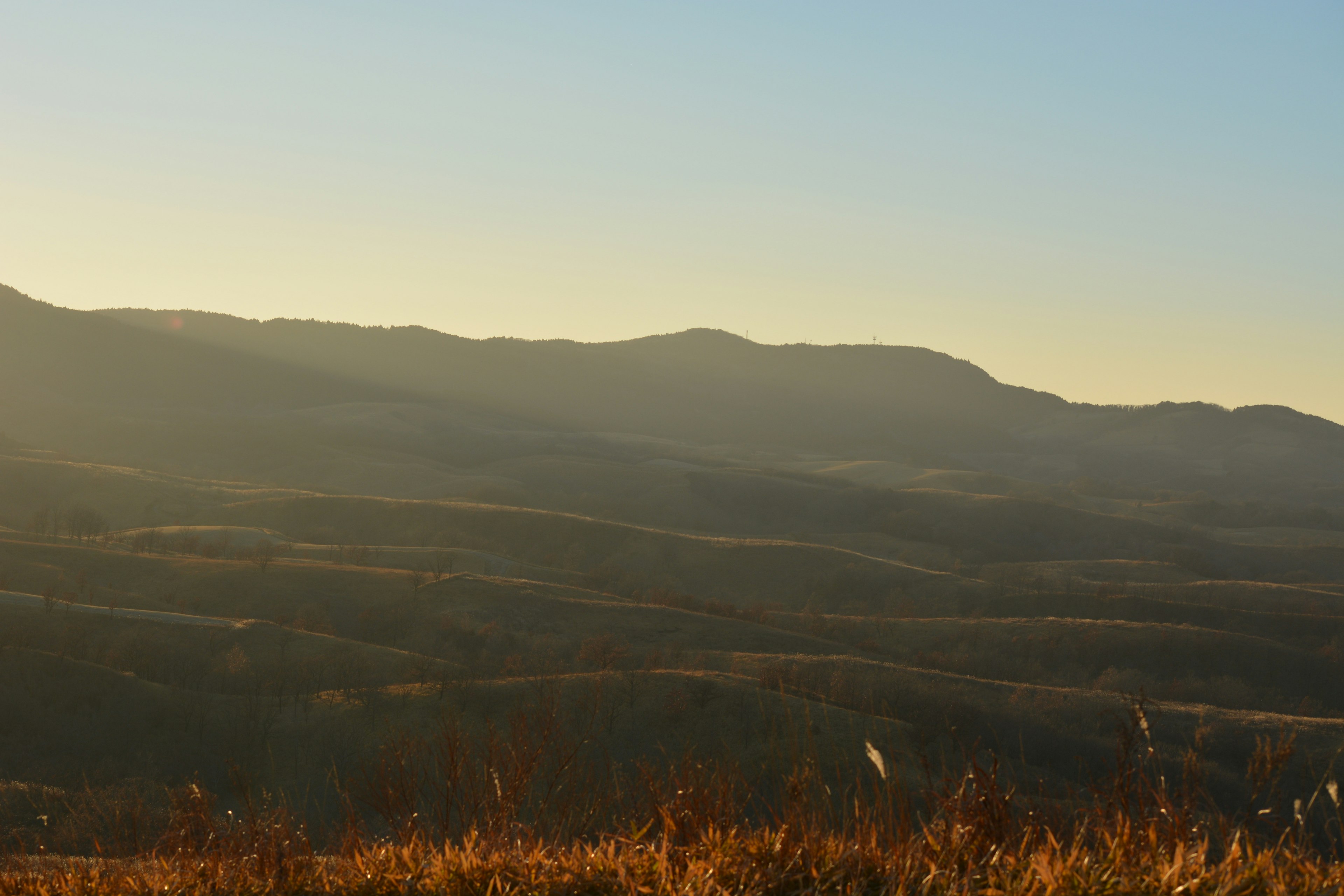 Paisaje al atardecer con colinas onduladas y hierba dorada