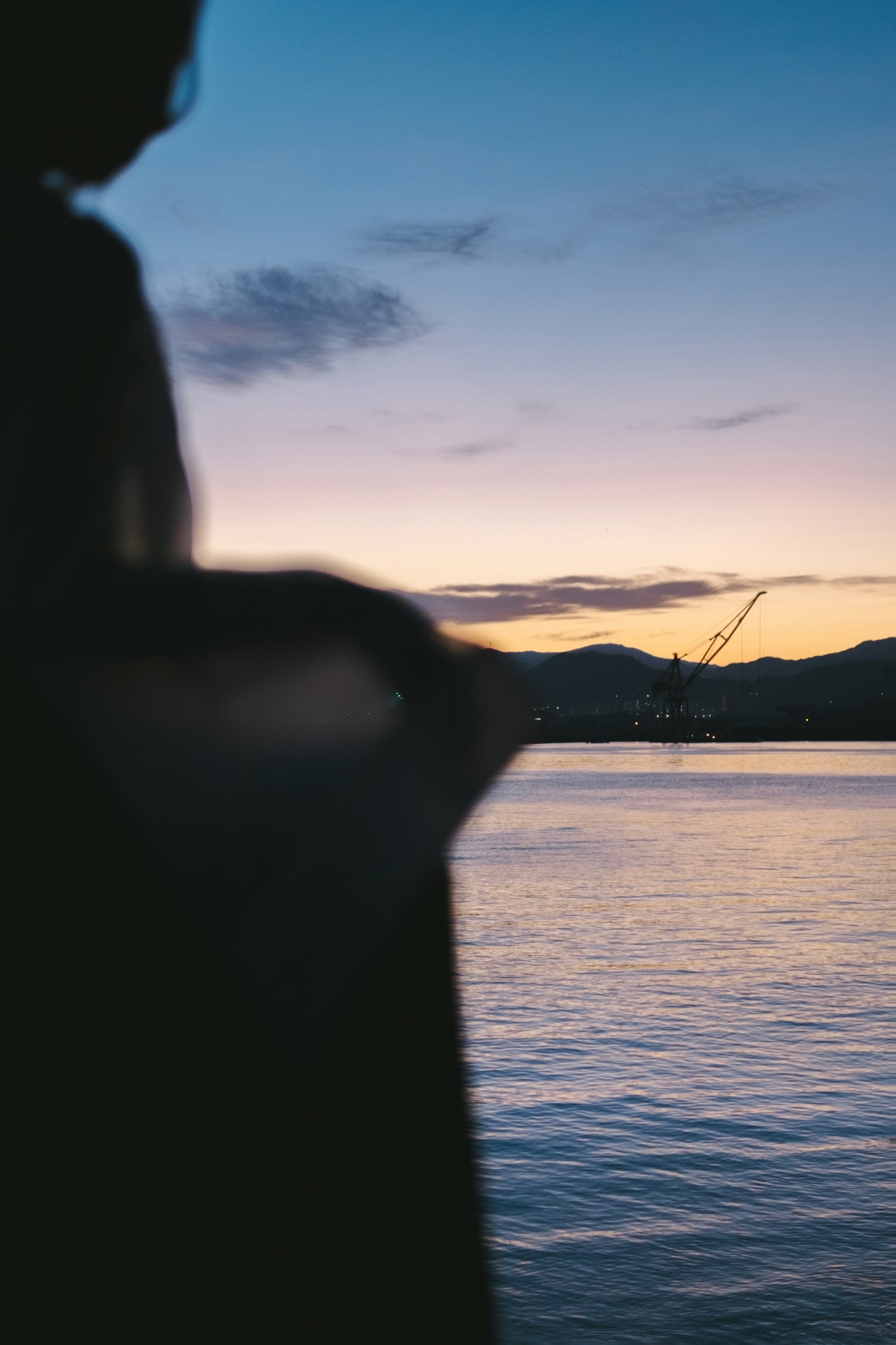 人物的輪廓在夕陽下映襯著海面，色調美麗