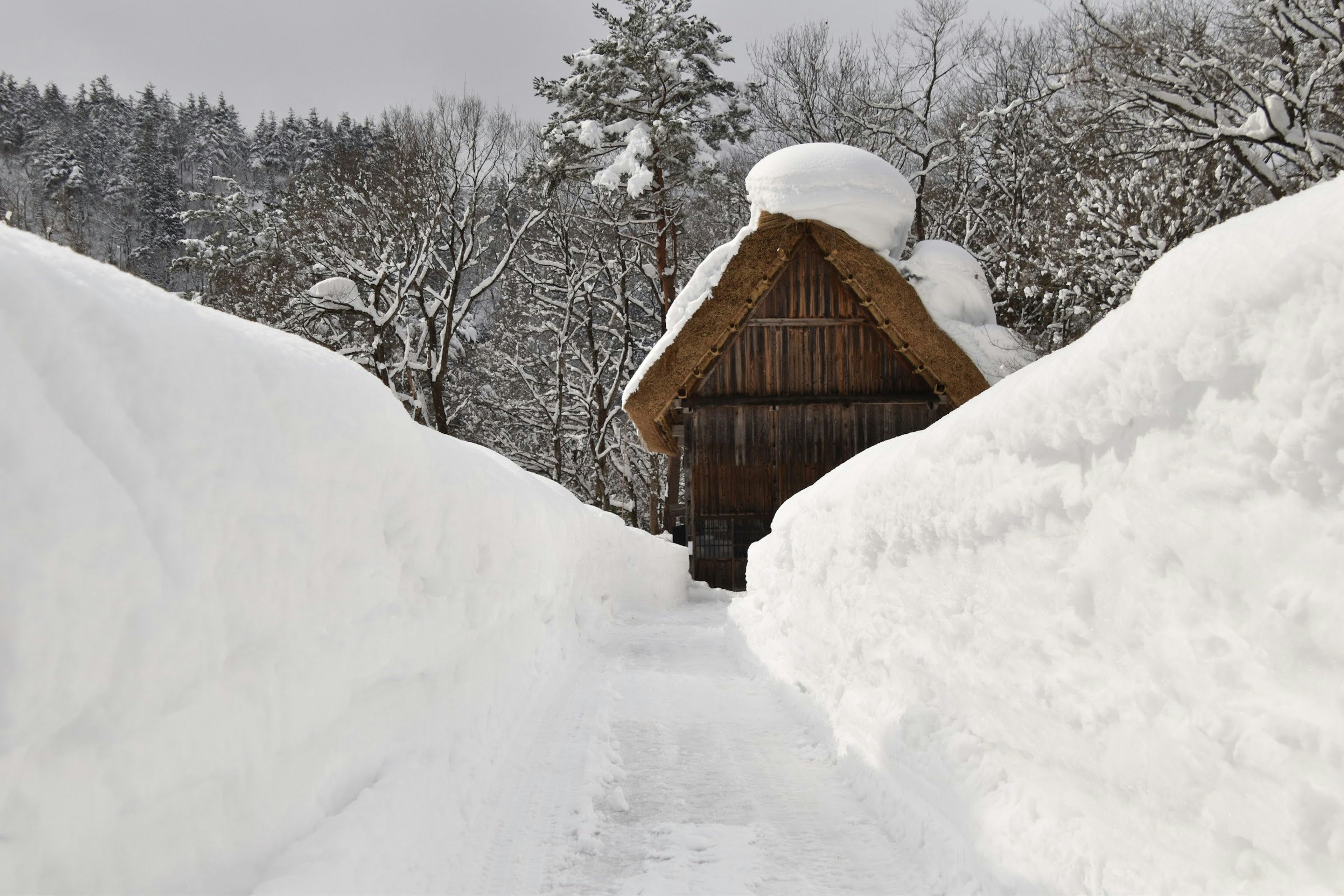 Chemin enneigé menant à une maison en bois avec toit de chaume