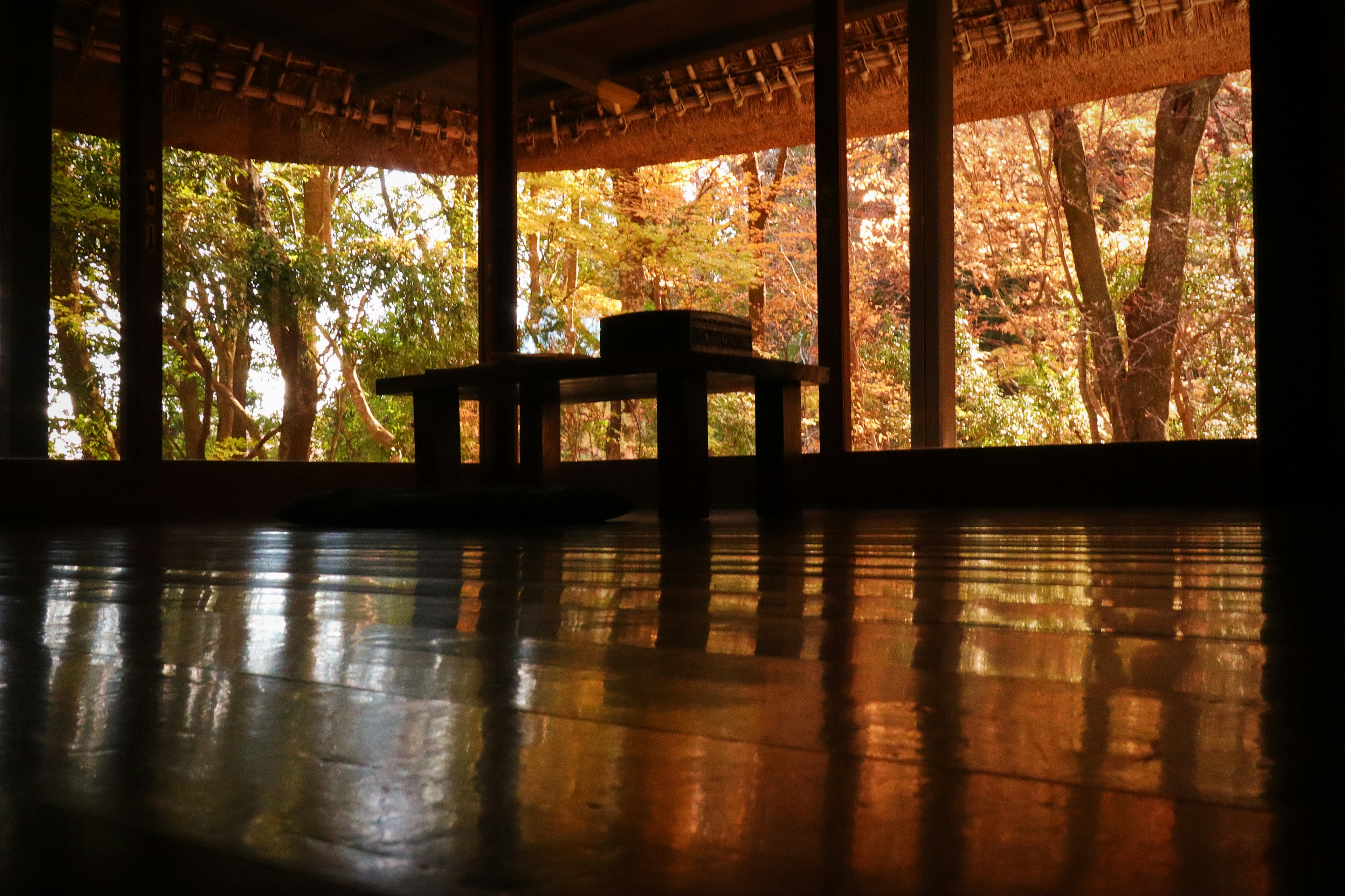 A wooden table with reflections on the floor set against an autumn landscape