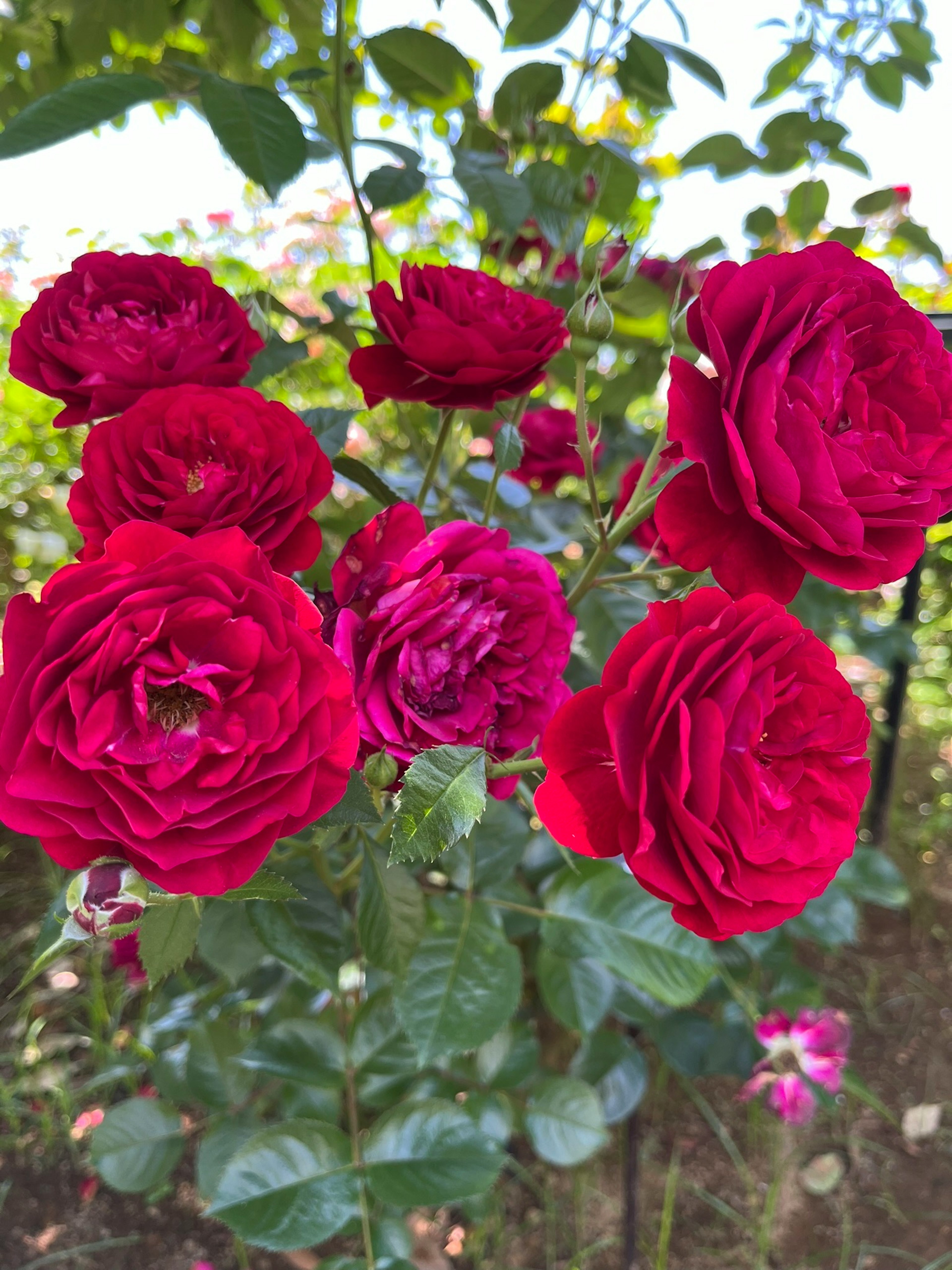 photo-WSddgL0fCfp9KJo3a6Jk-image