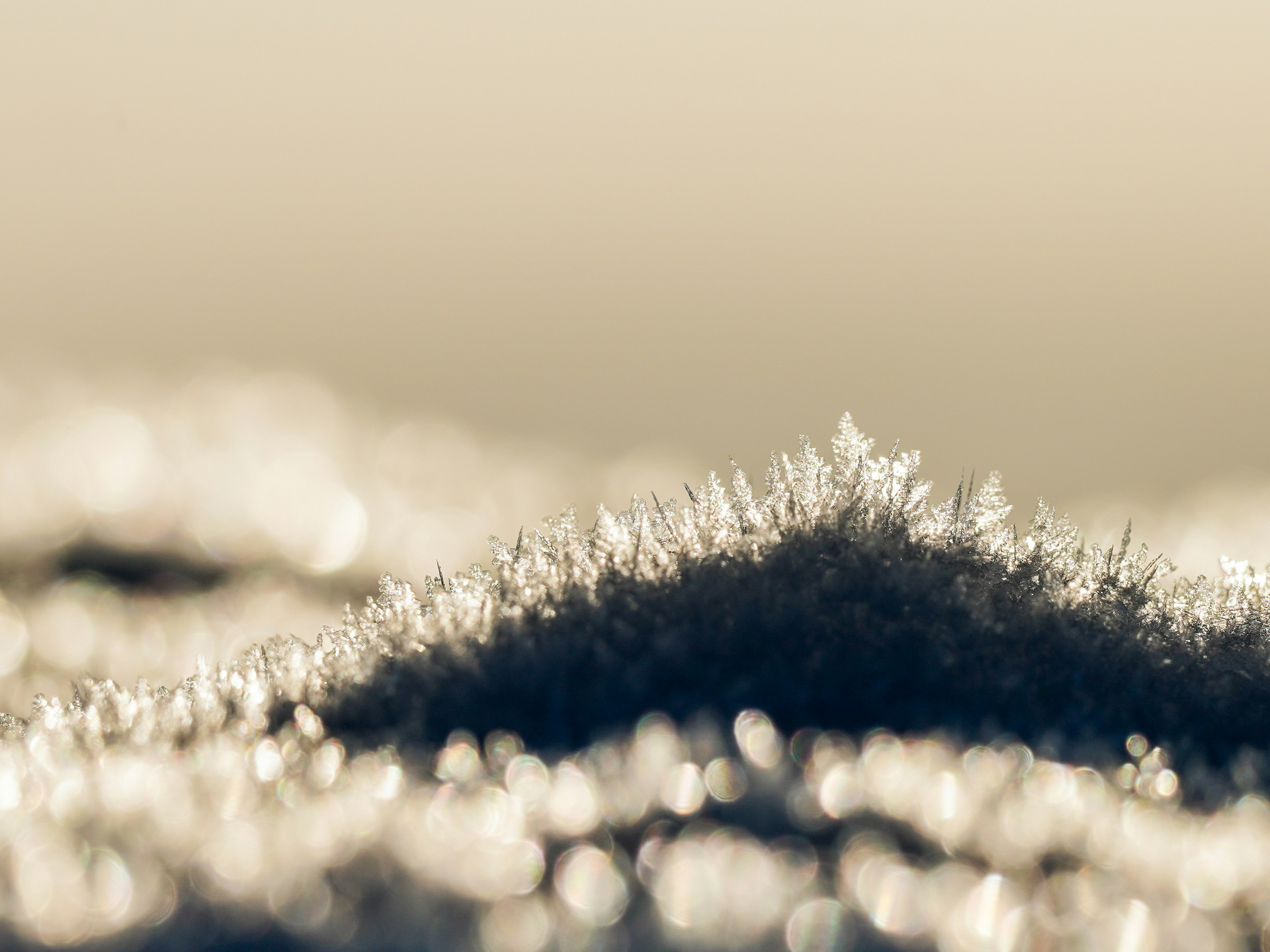 Paysage magnifique avec des cristaux de neige reflétant la lumière