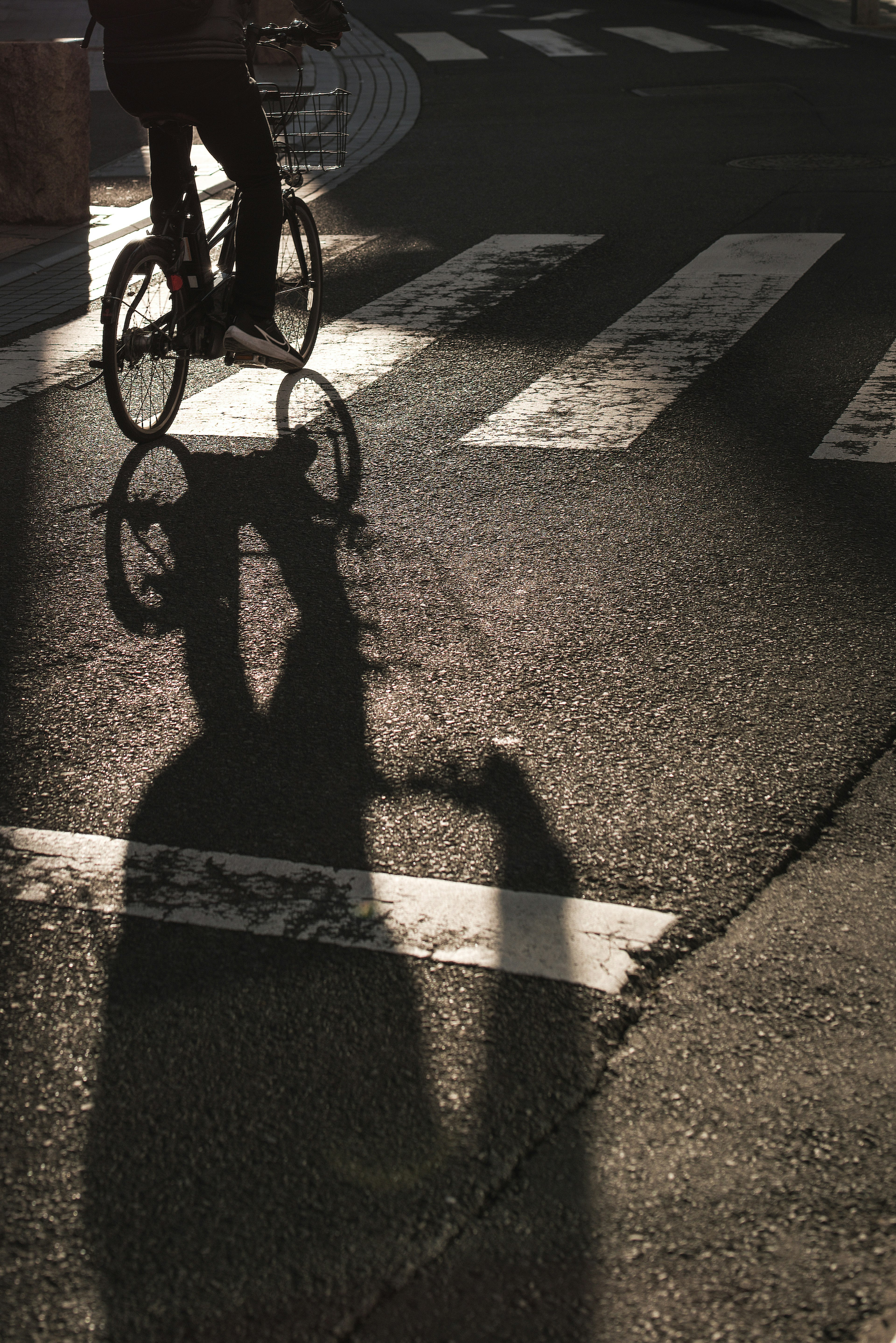 自転車に乗る人の影が横断歩道に映っている画像