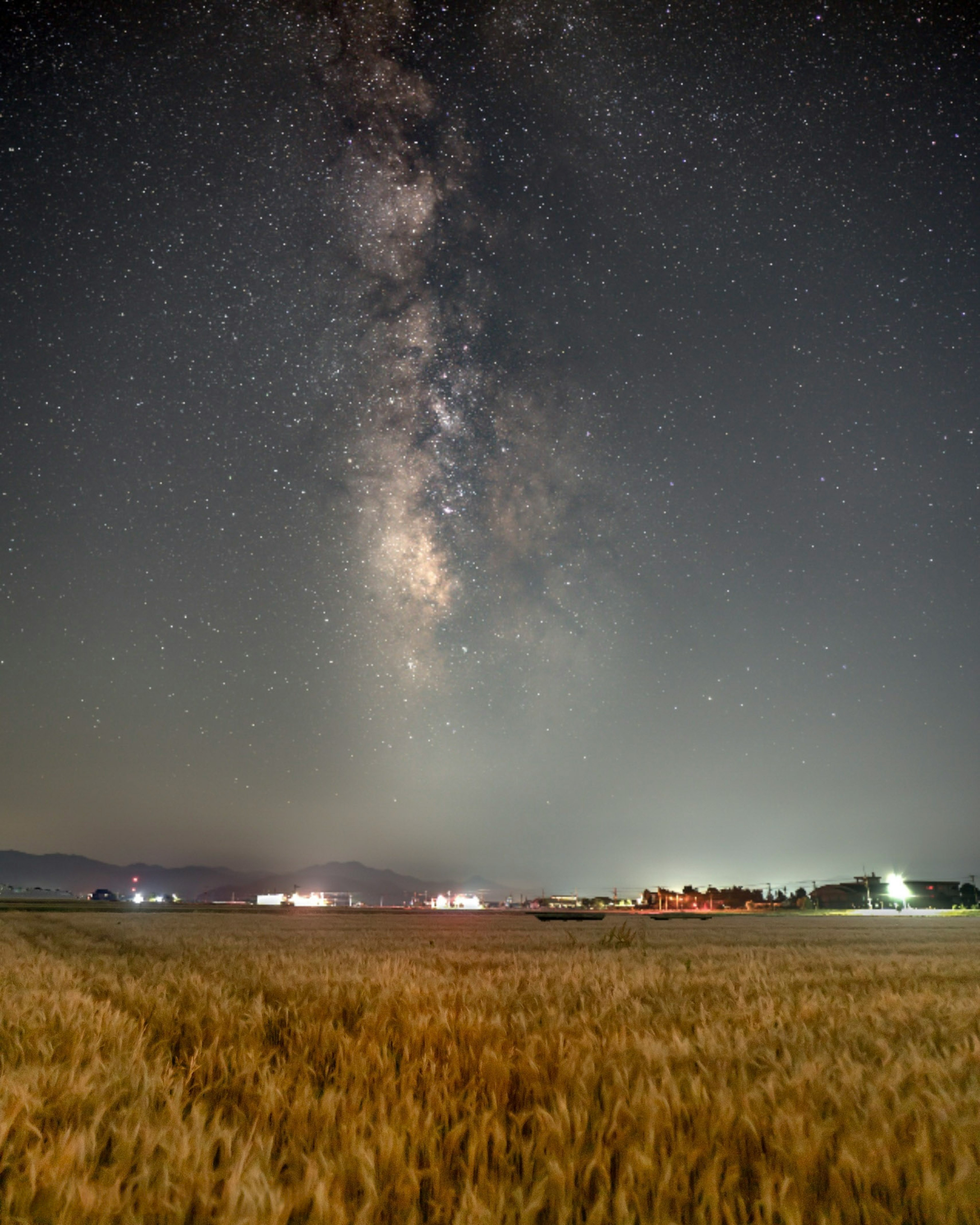 広大な麦畑の上に広がる銀河の夜空と星々